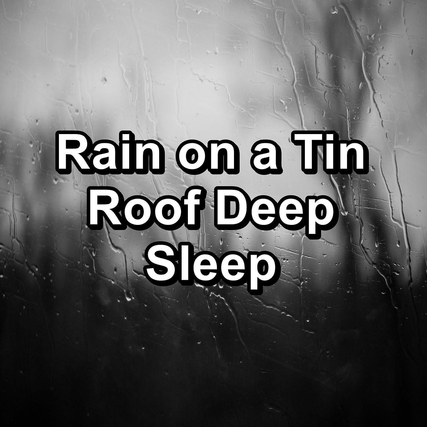 Постер альбома Rain on a Tin Roof Deep Sleep