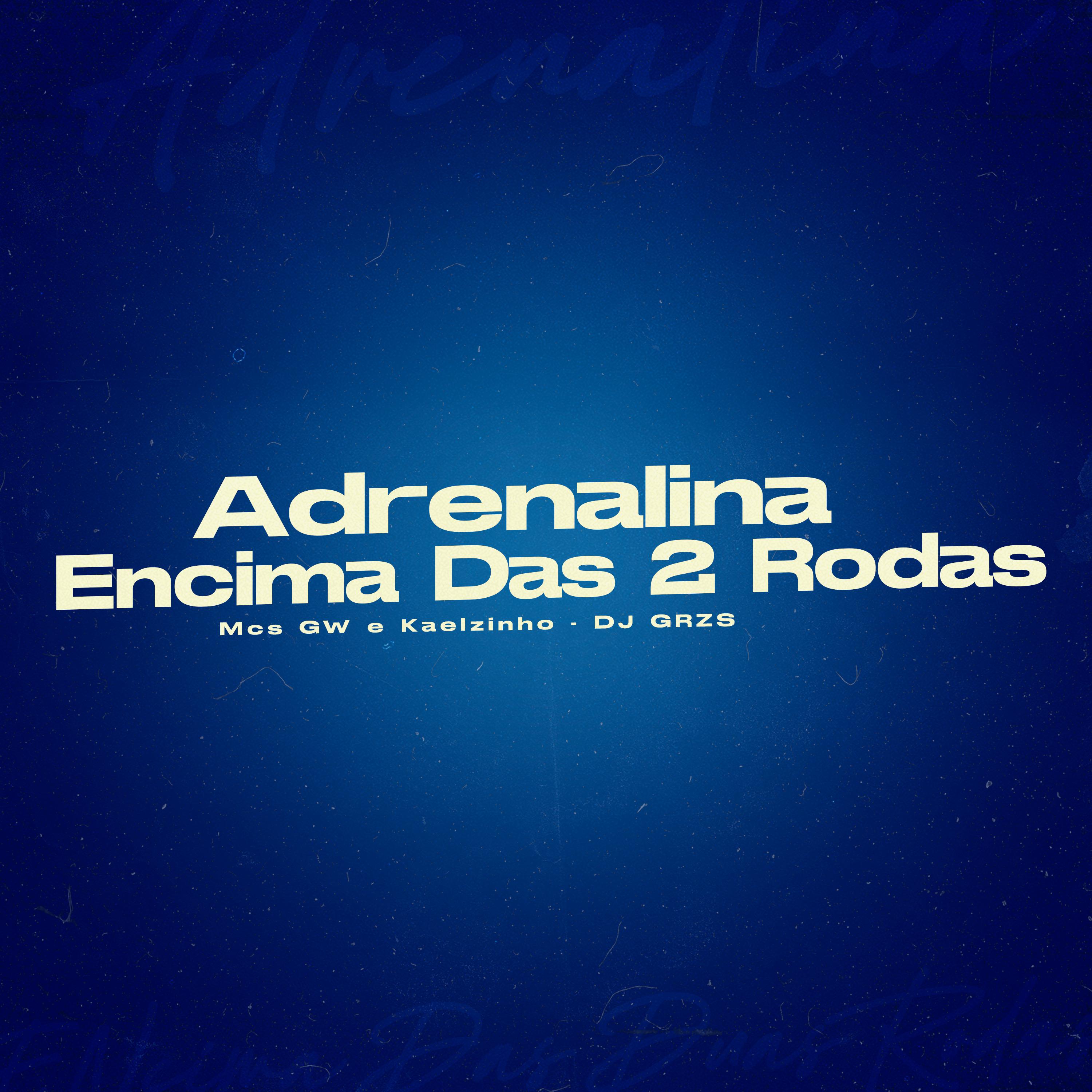 Постер альбома Adrenalina Ecima das 2 Rodas