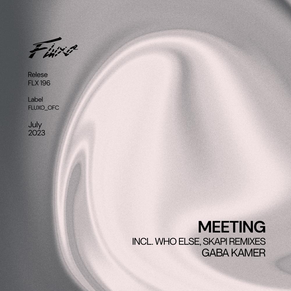 Постер альбома Meeting