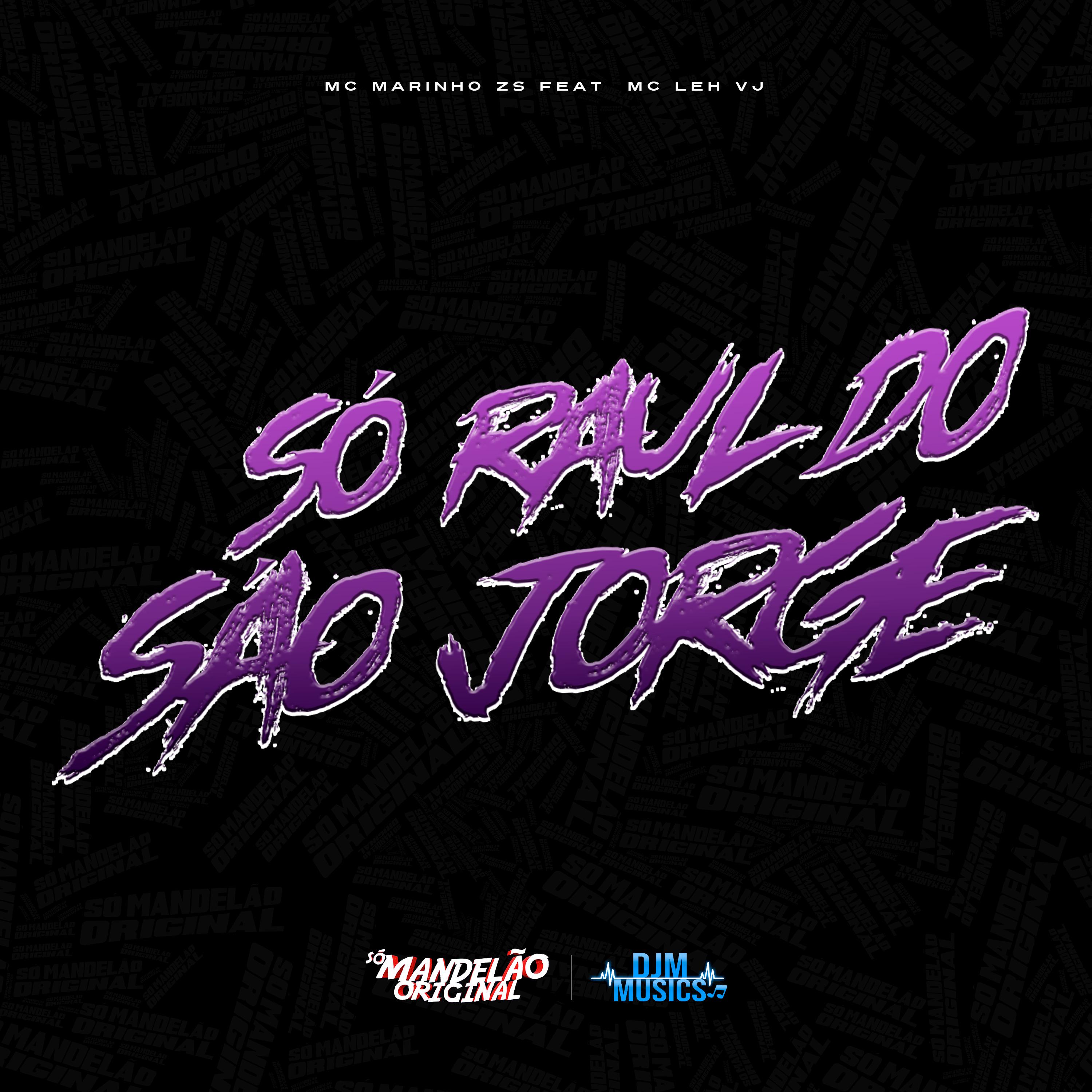 Постер альбома Só Raul do São Jorge