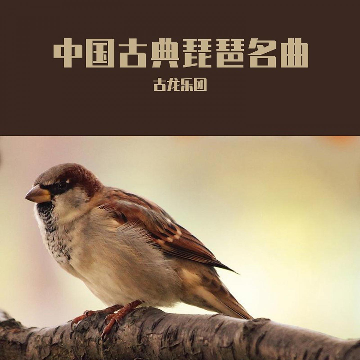 Постер альбома 中国古典琵琶名曲