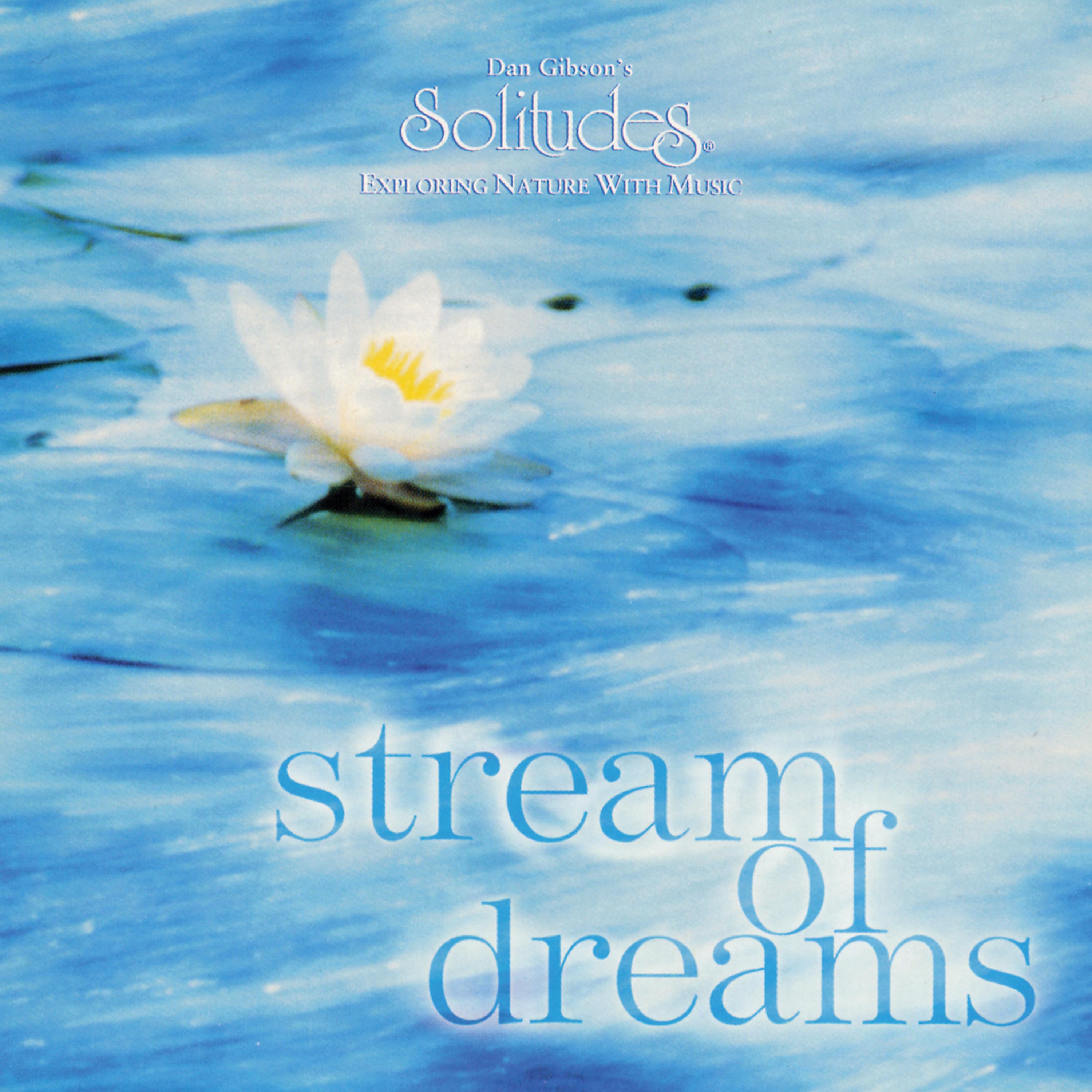 Постер альбома Stream of Dreams