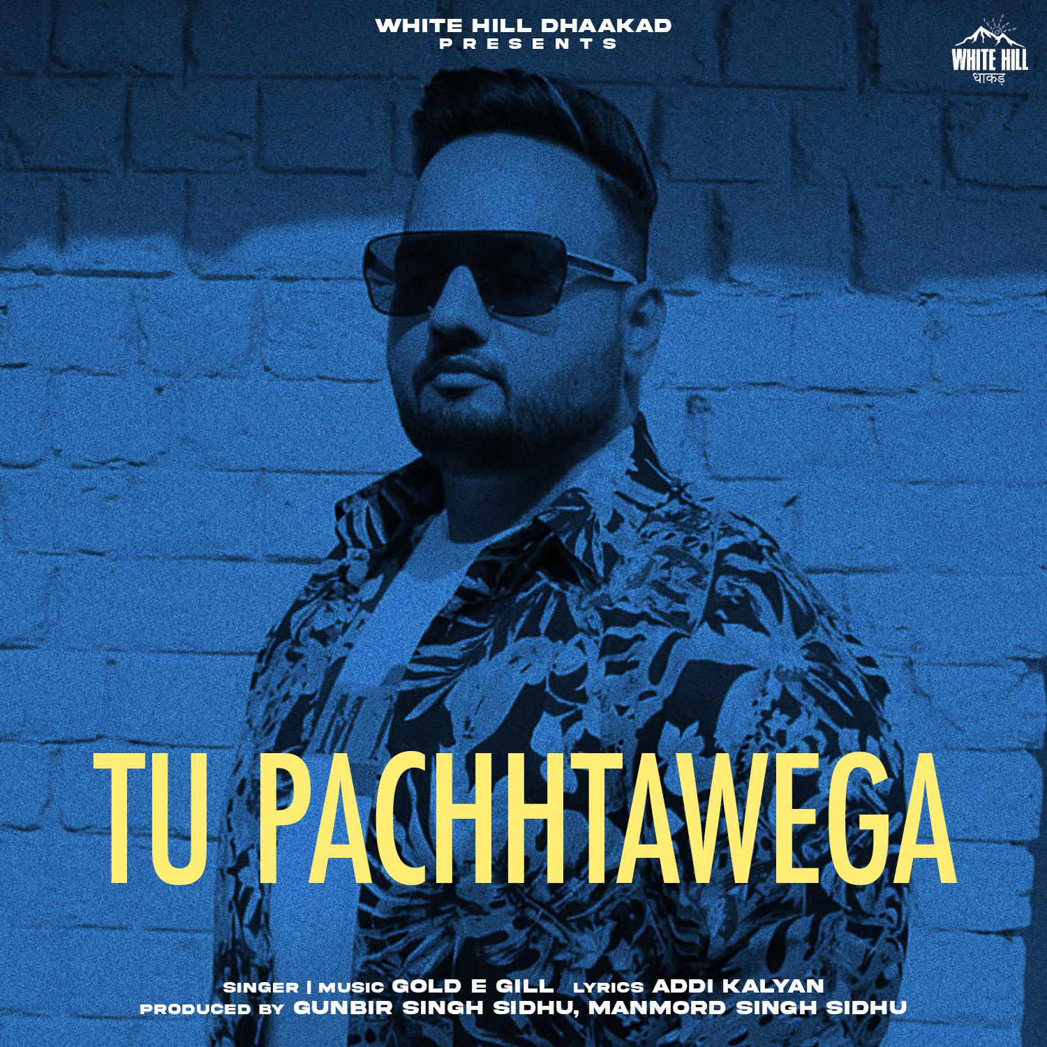 Постер альбома Tu Pachhtawega