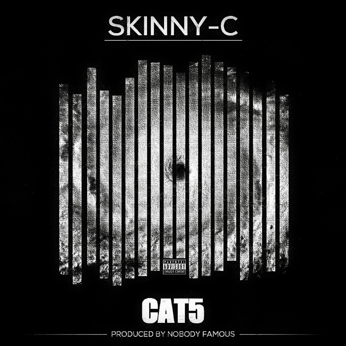 Постер альбома Cat5