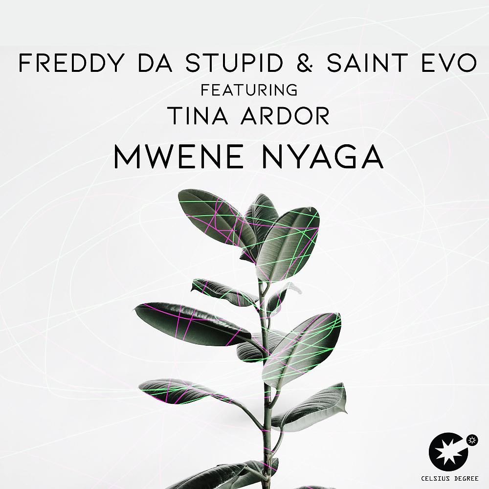 Постер альбома Mwene Nyaga