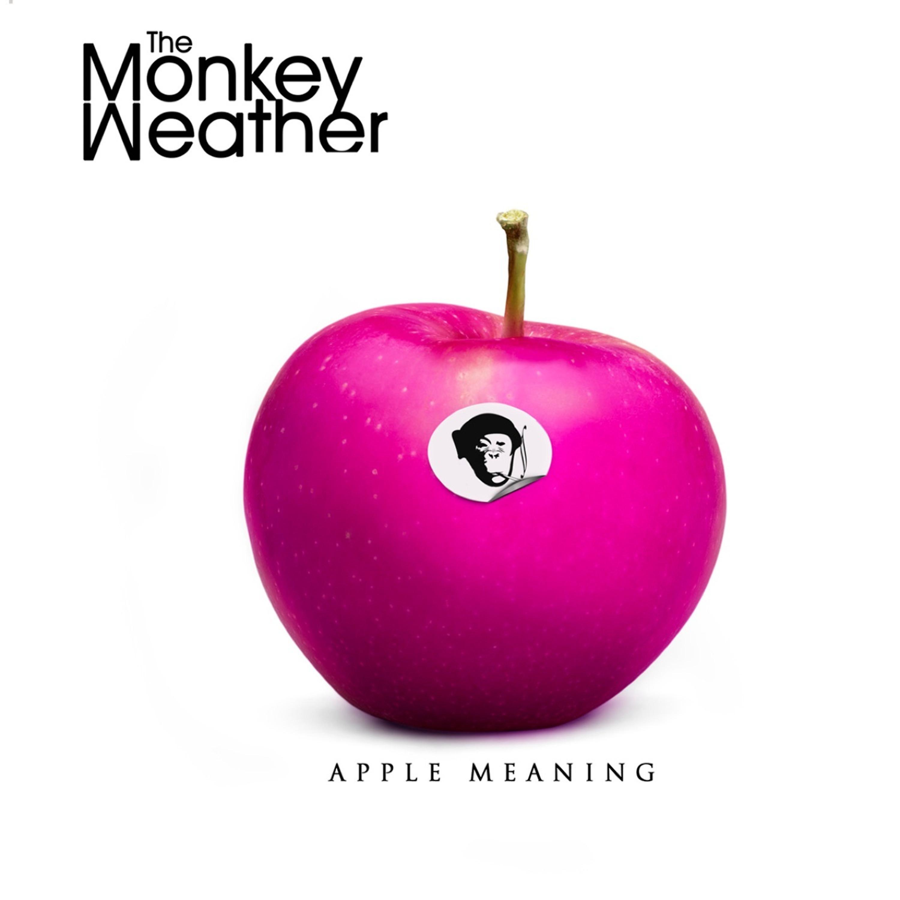 Постер альбома Apple Meaning