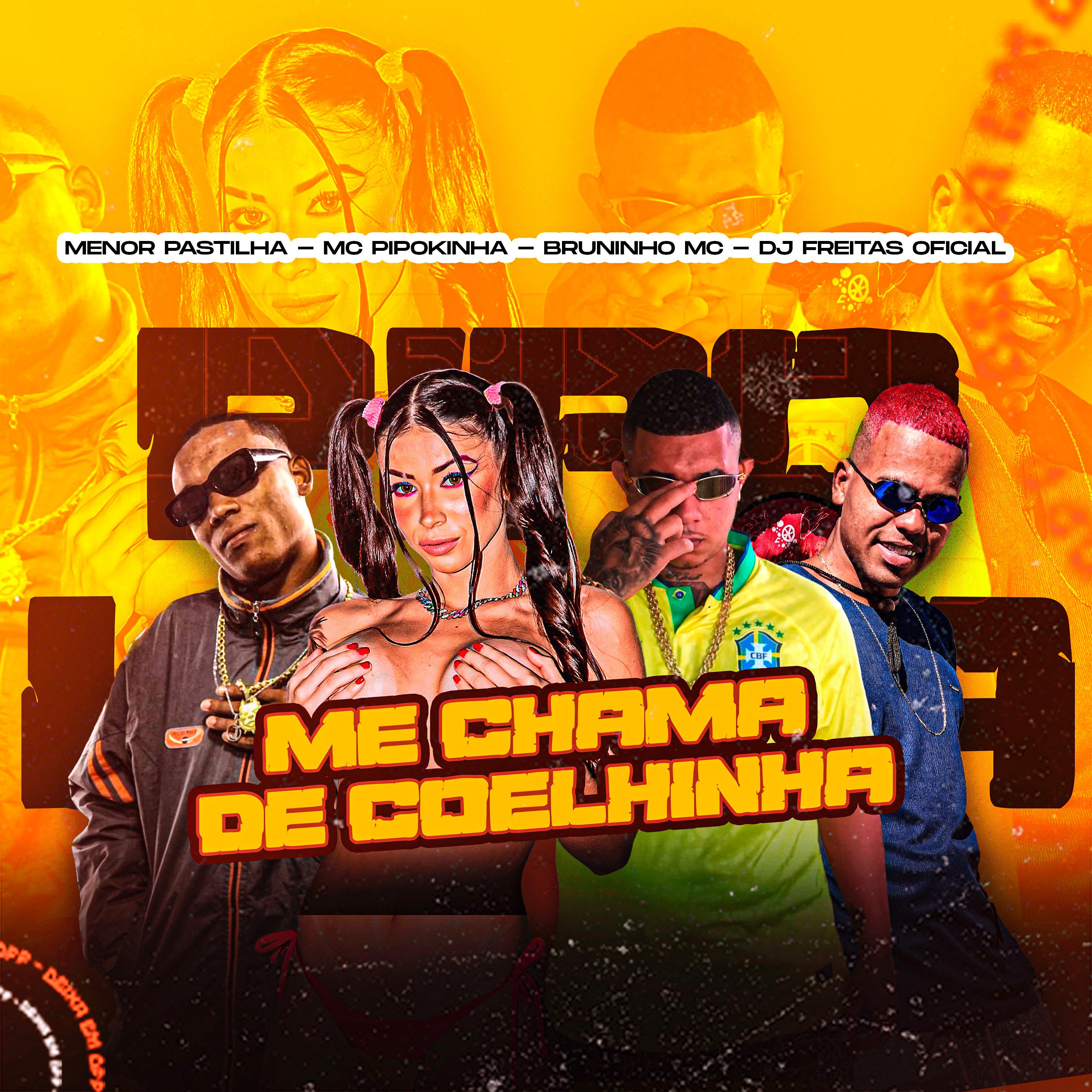 Постер альбома Me Chama de Coelhinha