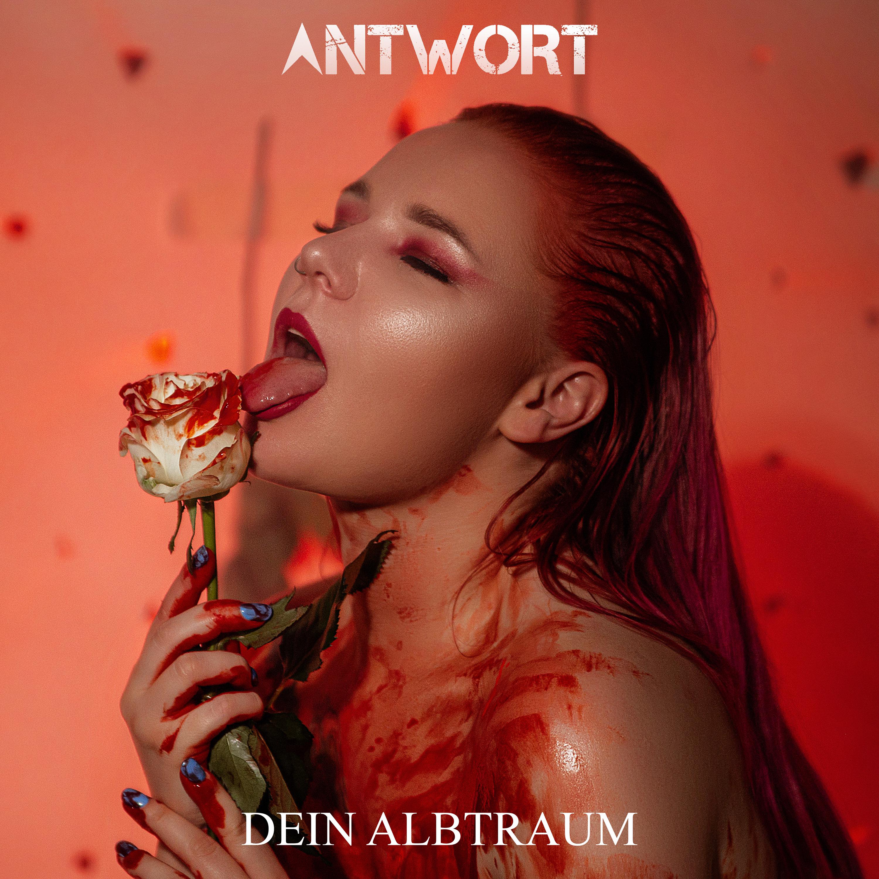 Постер альбома Dein Albtraum