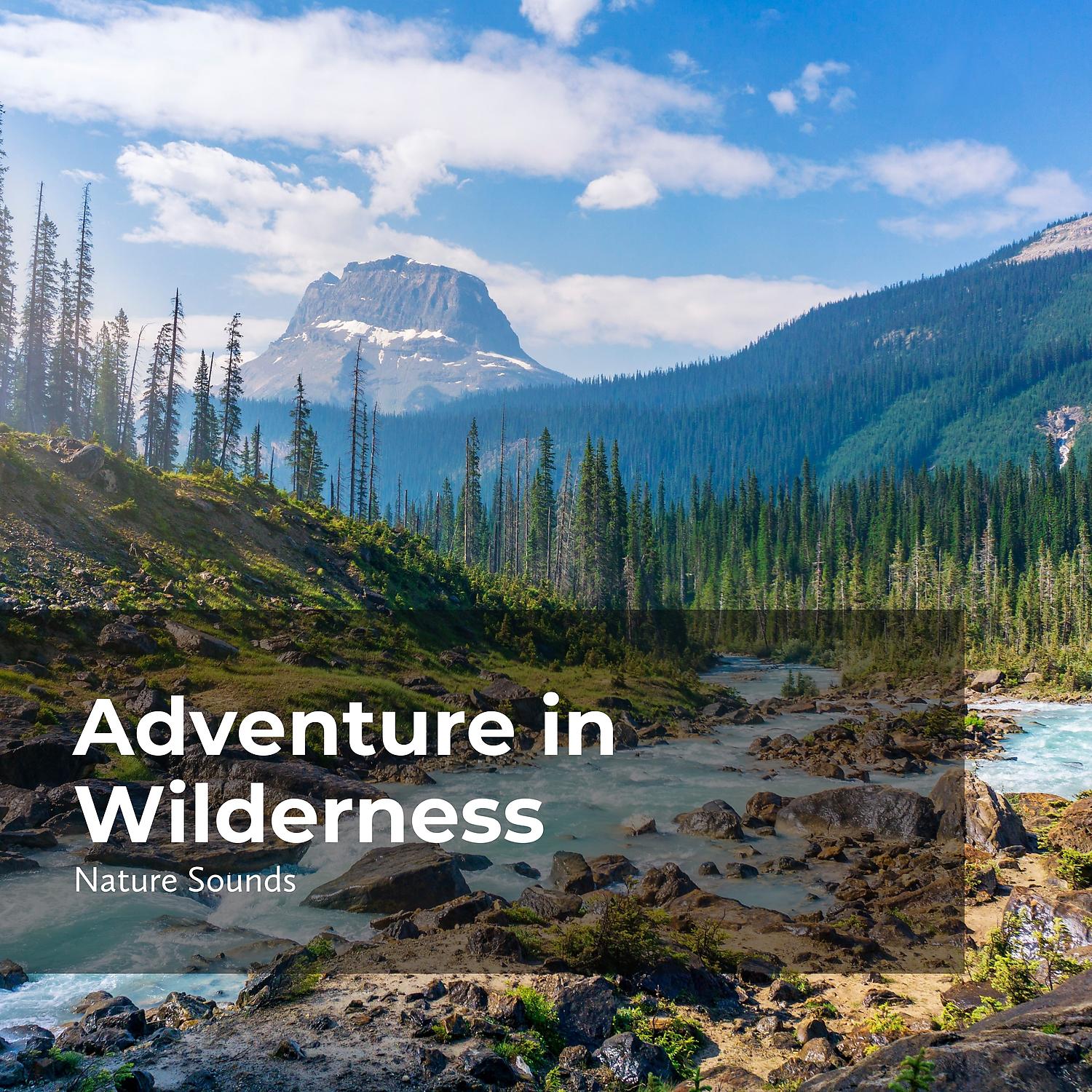 Постер альбома Adventure in Wilderness