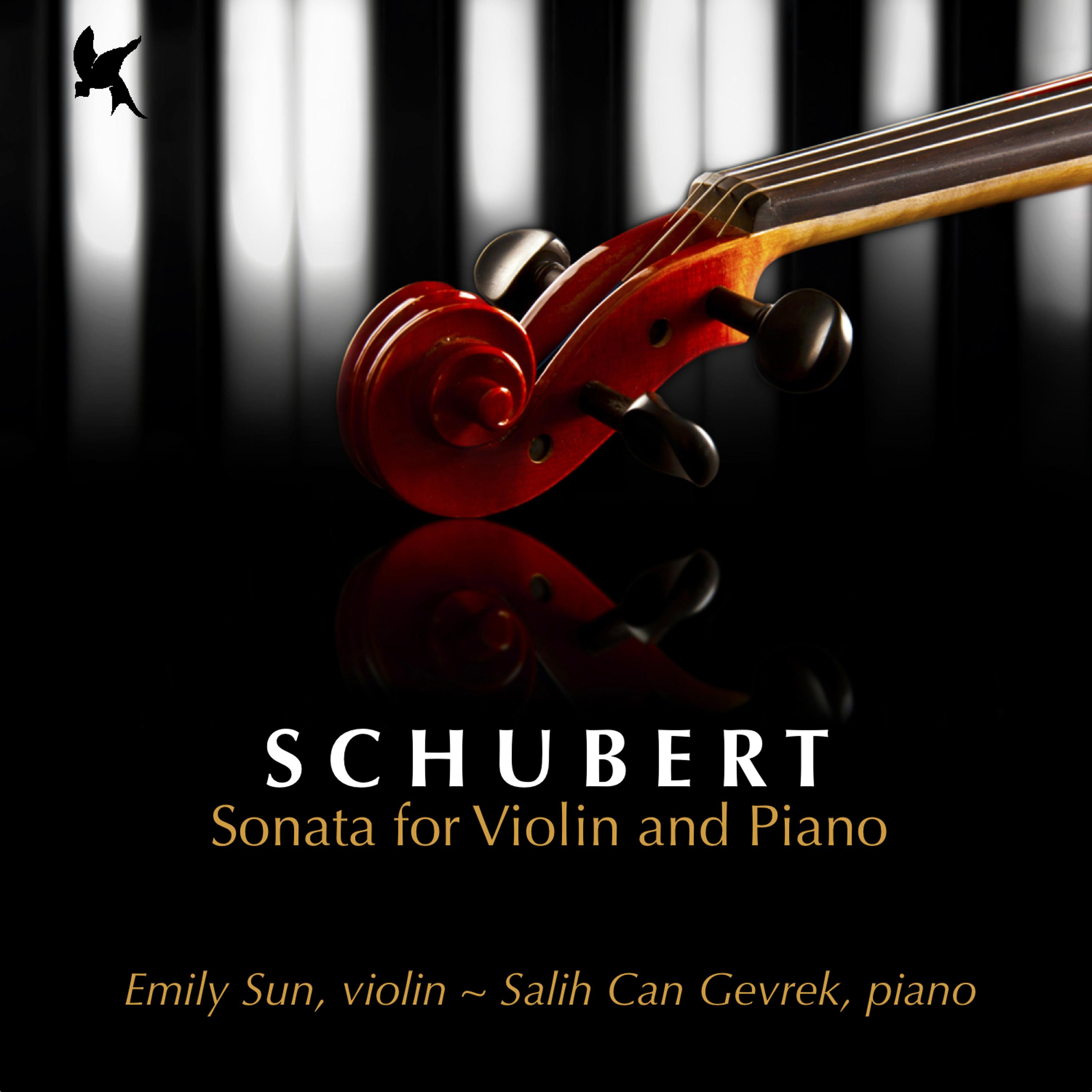 Постер альбома Schubert: Sonata for Violin and Piano in G Minor, D. 408