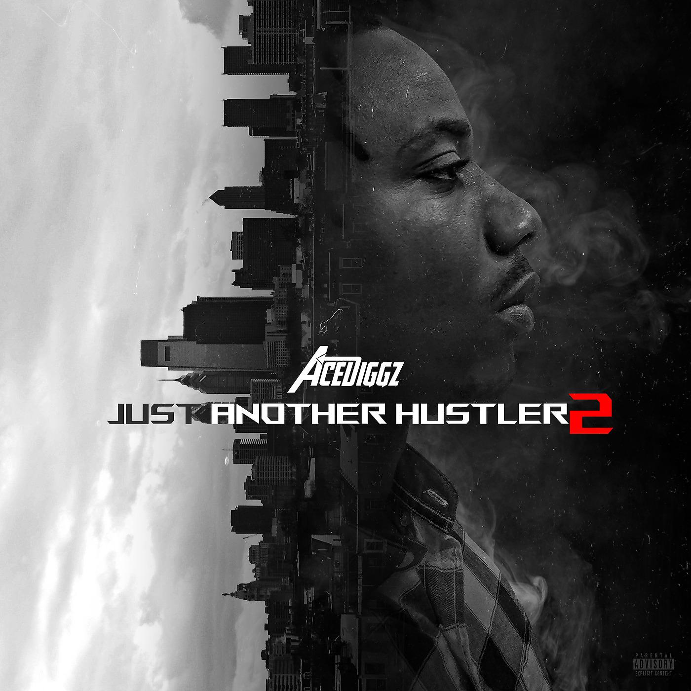 Постер альбома Just Another Hustler 2