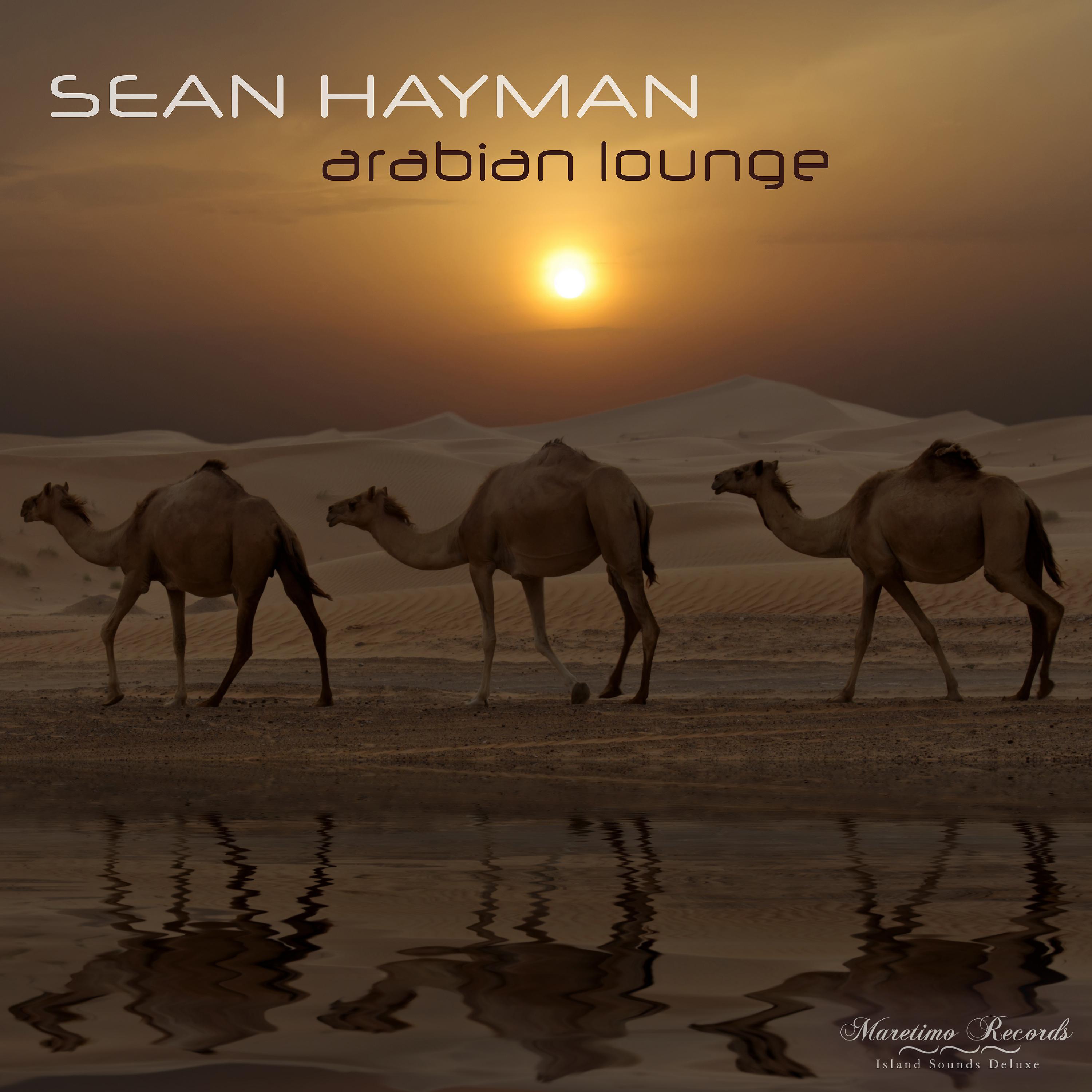 Постер альбома Arabian Lounge (Stretch Your Mind Cut)