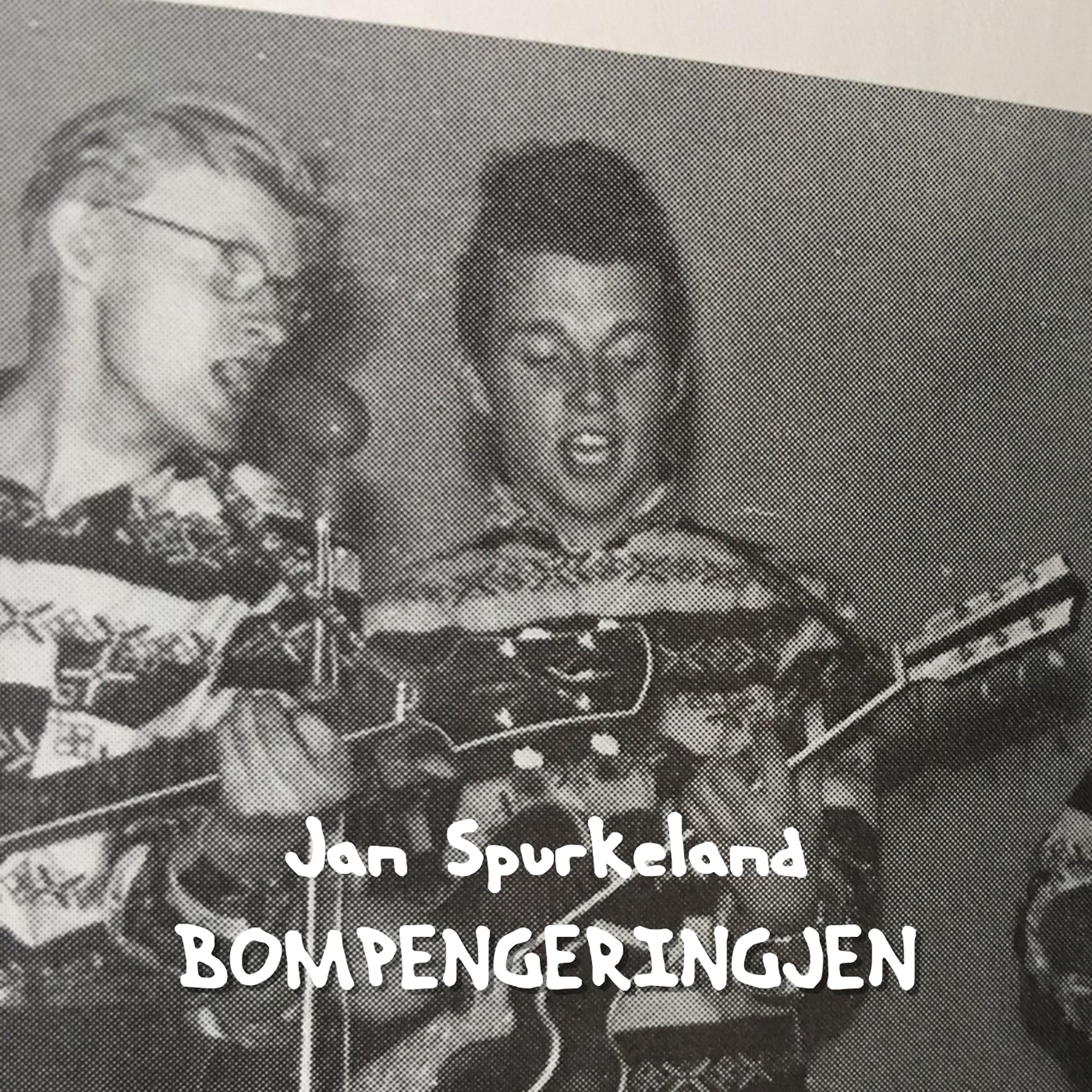Постер альбома Bompengeringjen