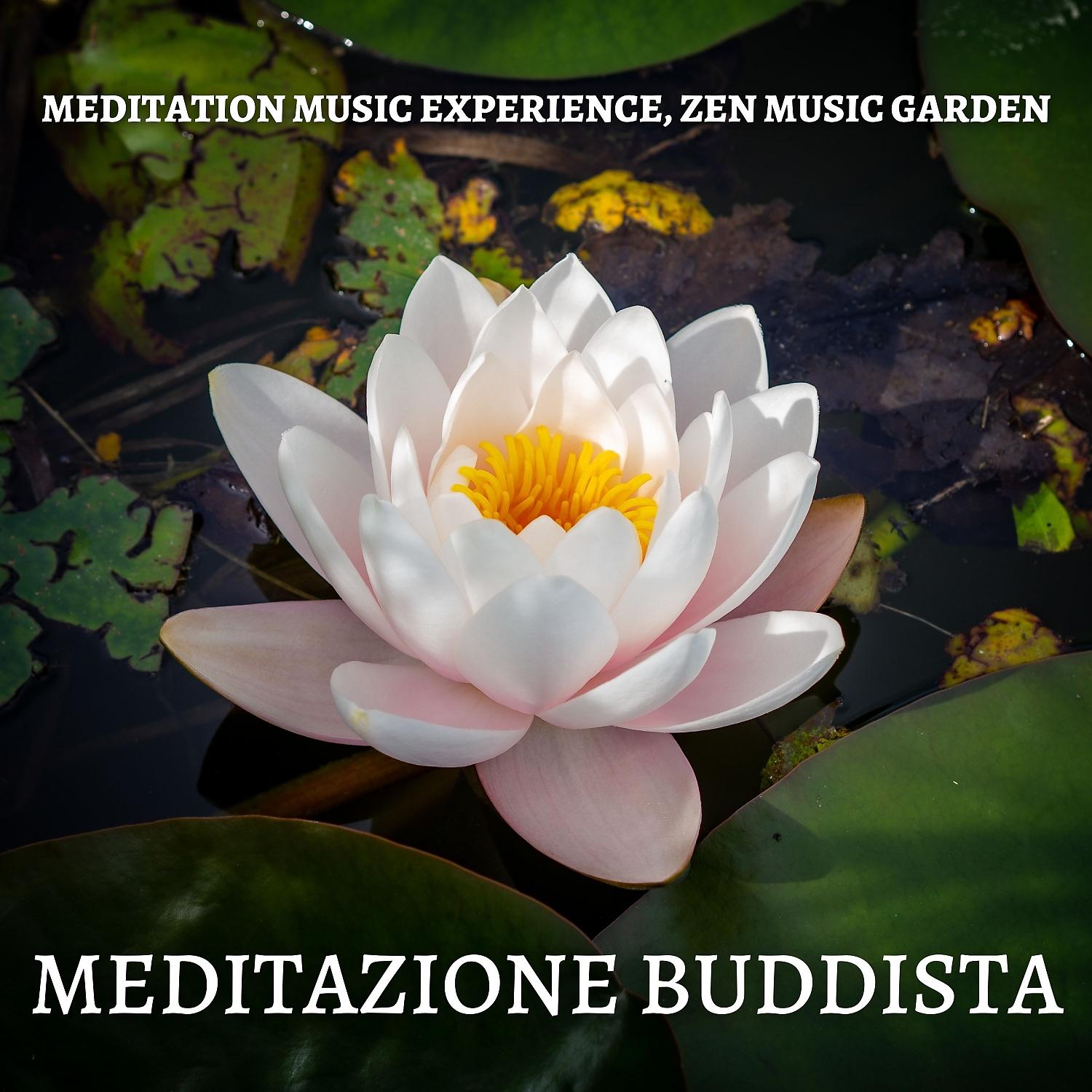 Постер альбома Meditazione buddista