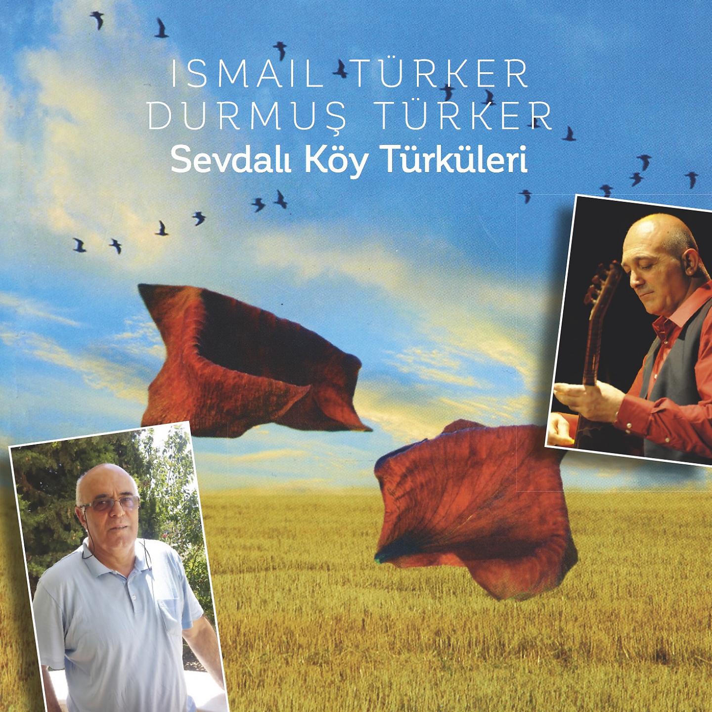 Постер альбома Sevdalı Köy Türküleri