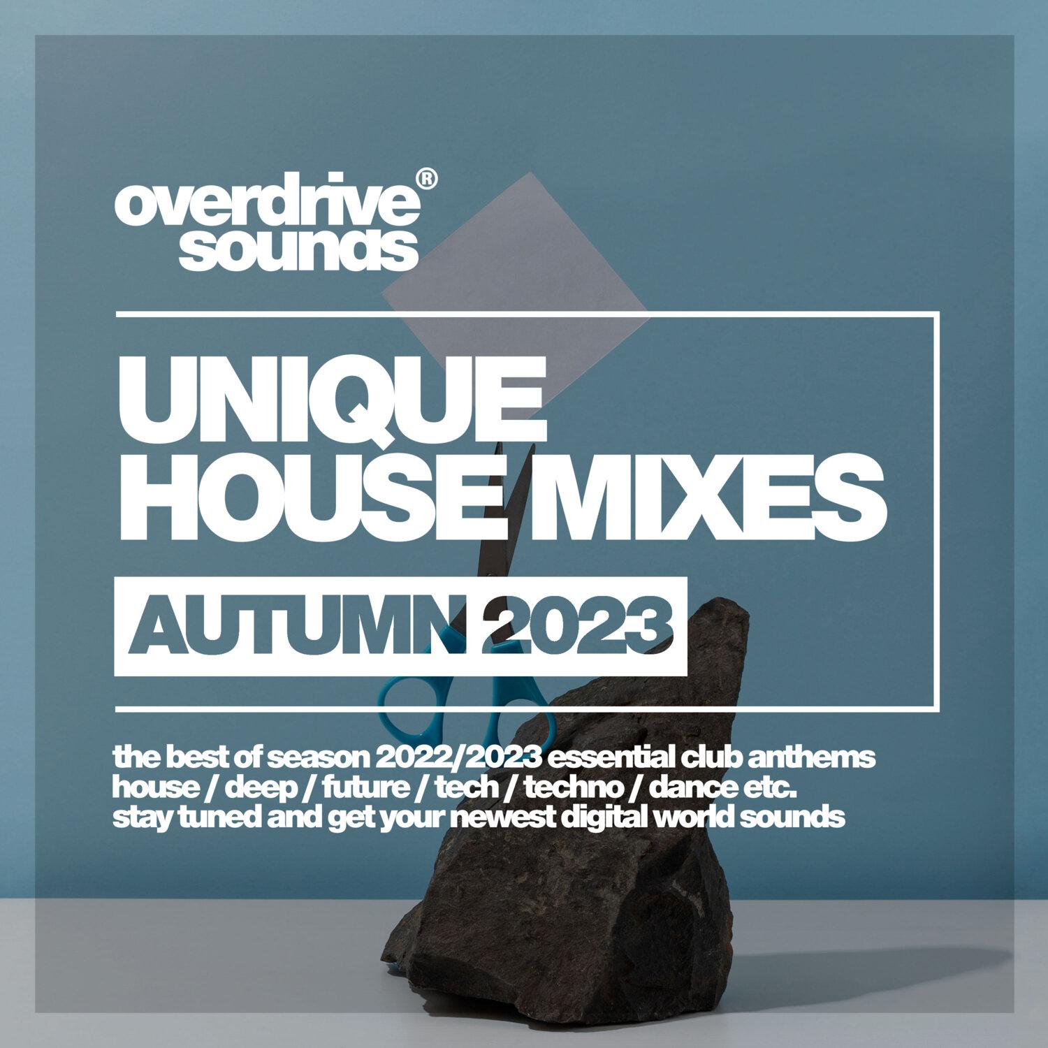 Постер альбома Unique House Mixes 2023