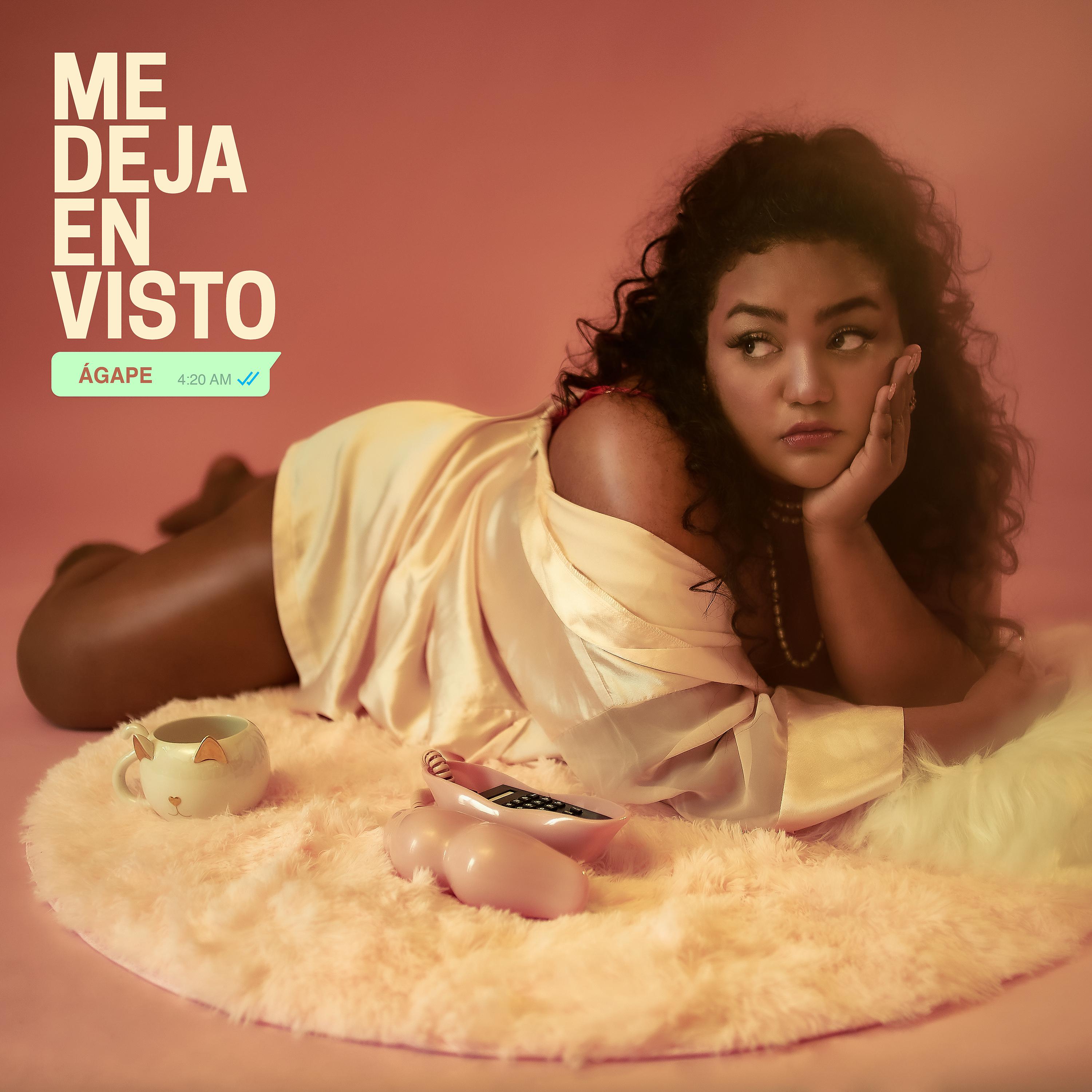 Постер альбома Me Deja en Visto