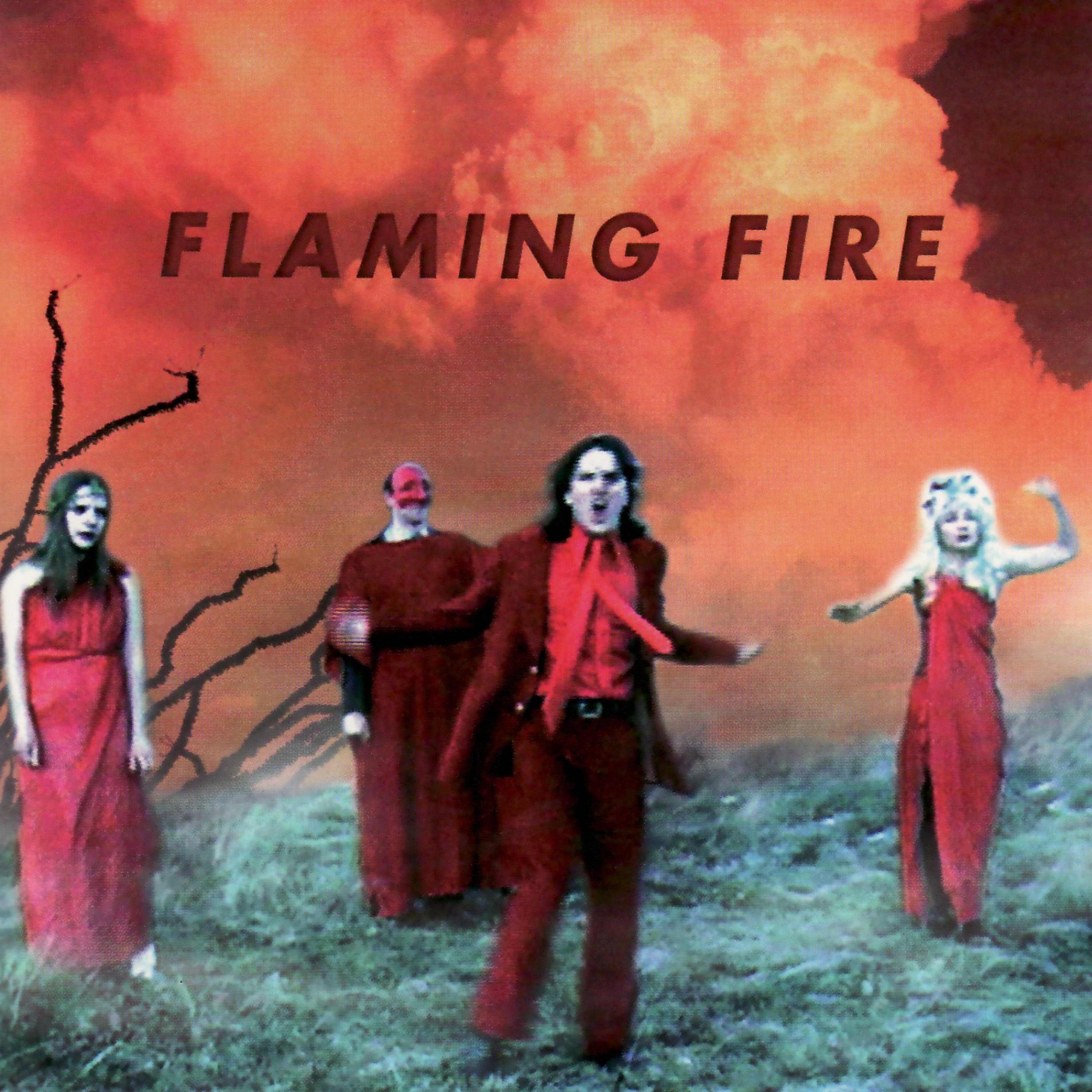 Постер альбома Get Old and Die with Flaming Fire
