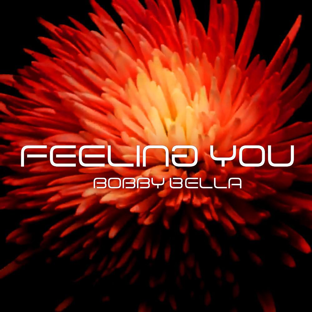 Постер альбома Feeling You (Original Mix)