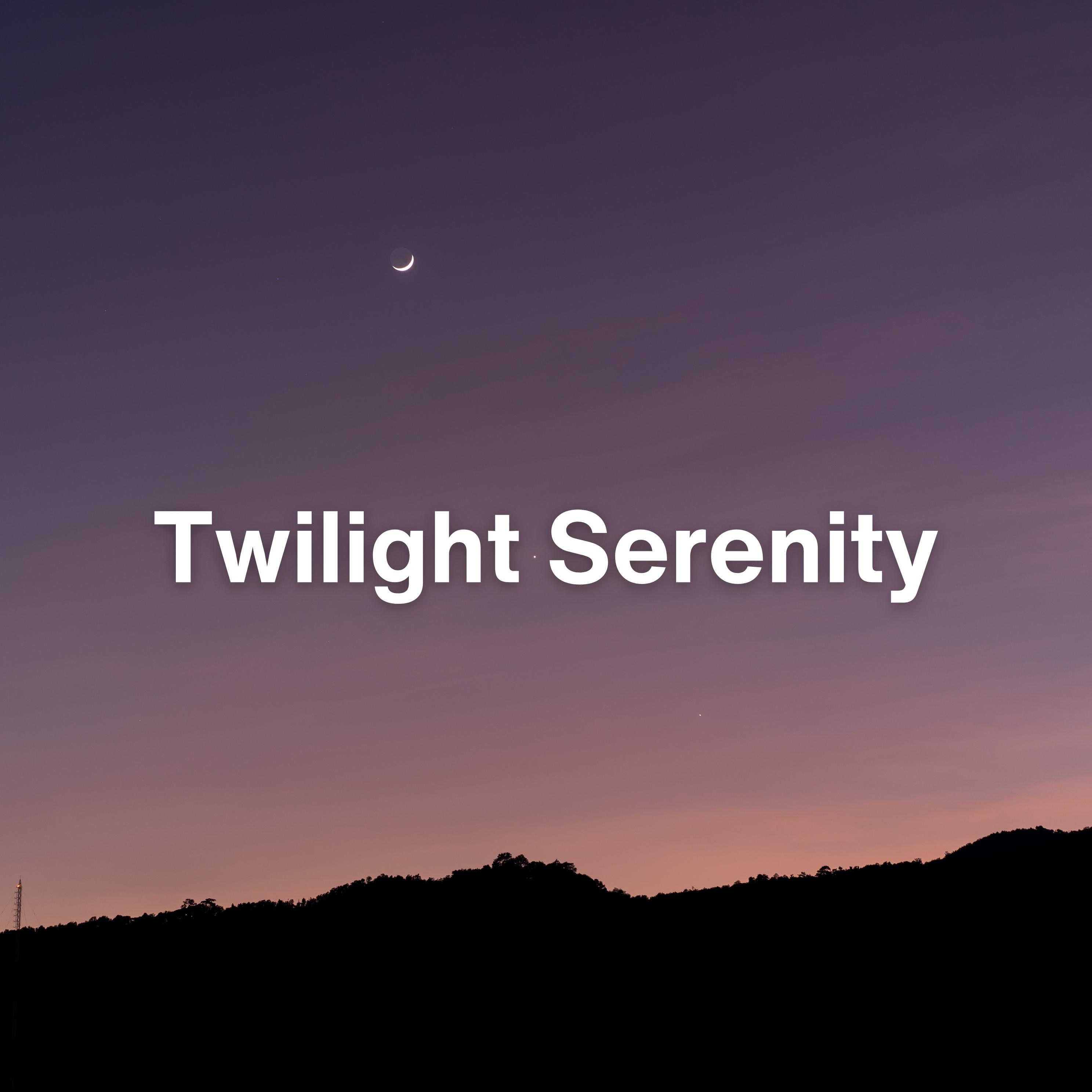 Постер альбома Twilight Serenity