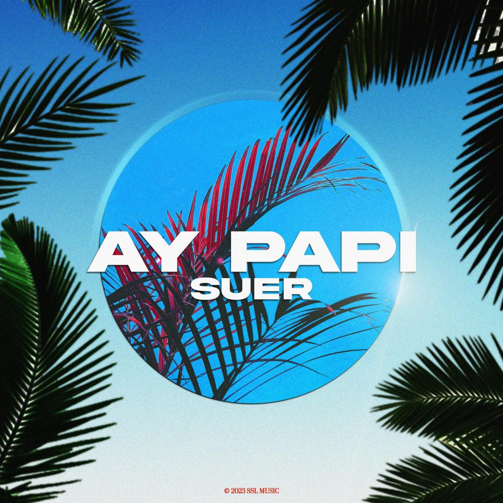 Постер альбома Ay Papi