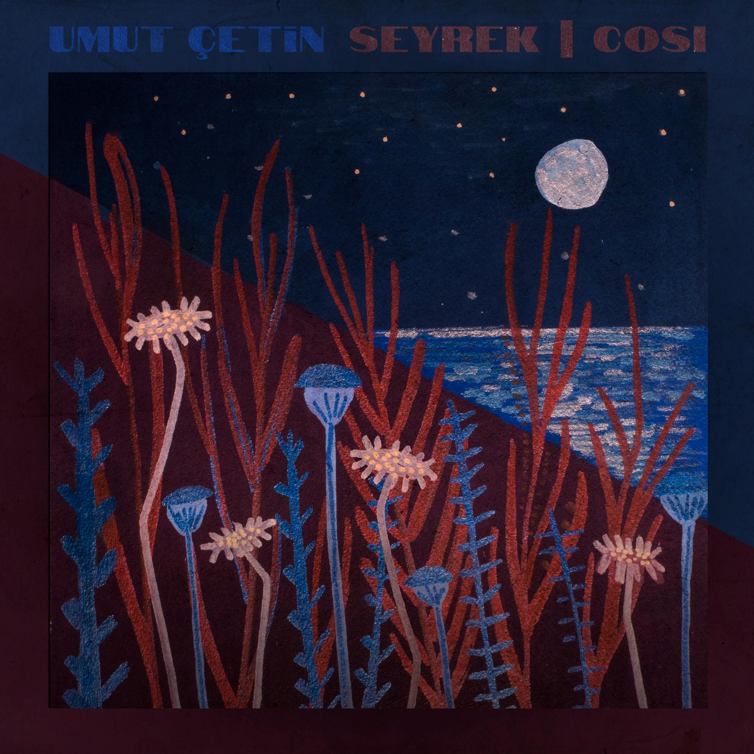 Постер альбома Seyrek / Cosi