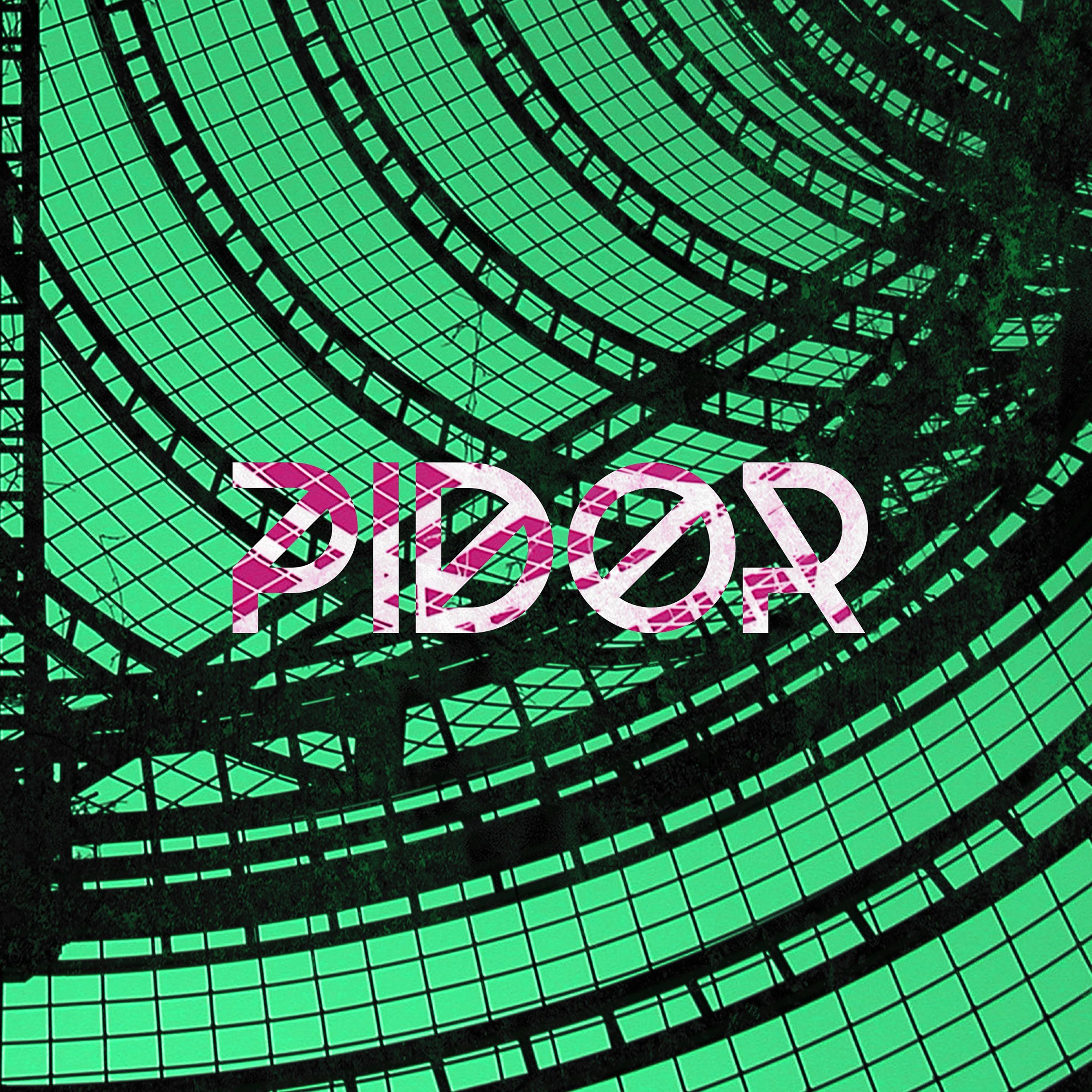 Постер альбома Pidor
