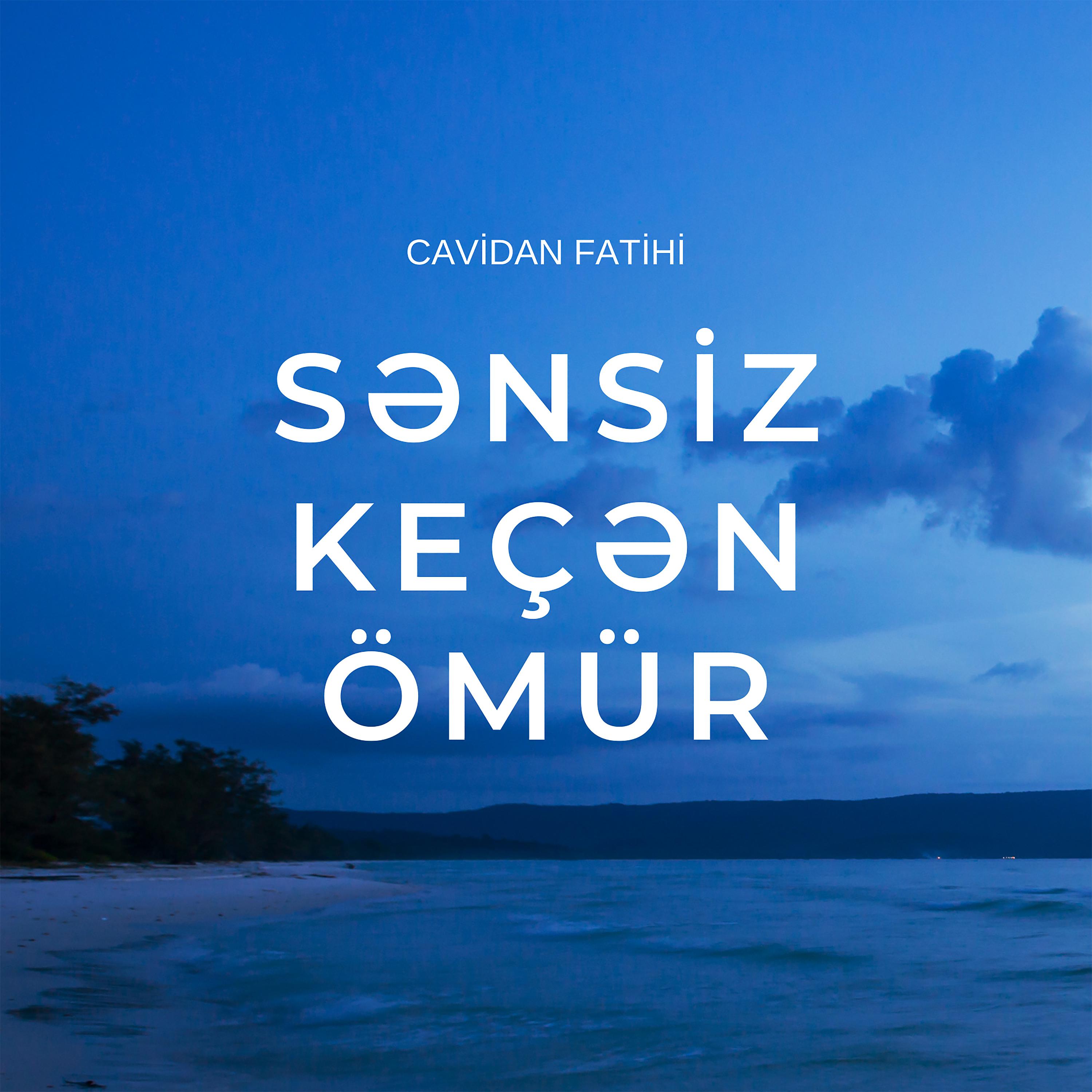 Постер альбома Sənsiz Keçən Ömür