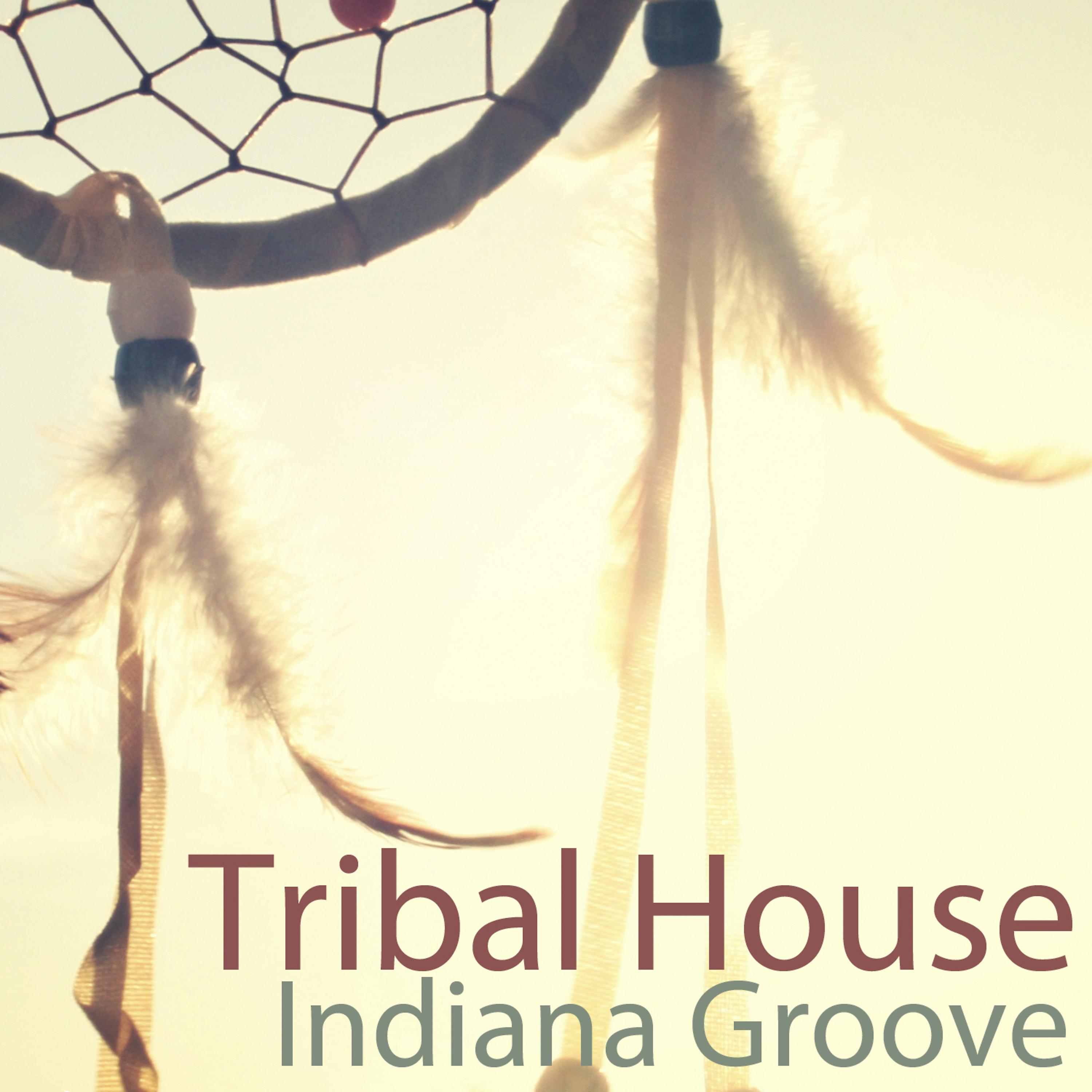 Постер альбома Indiana Groove