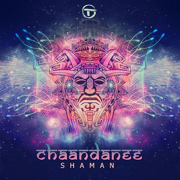 Постер альбома Shaman (feat. Chris Hall)