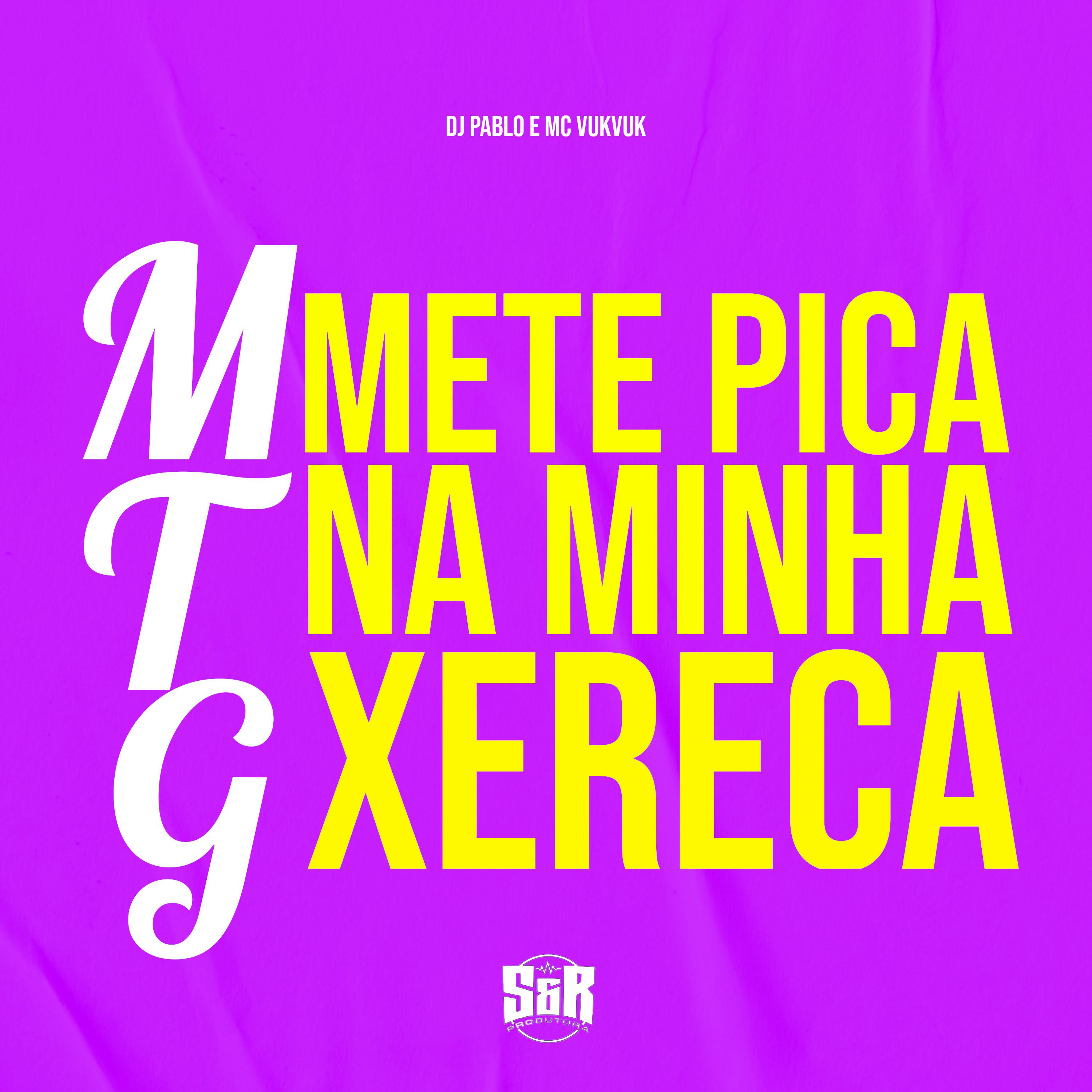 Постер альбома Mtg Mete Pika na Minha Xereca