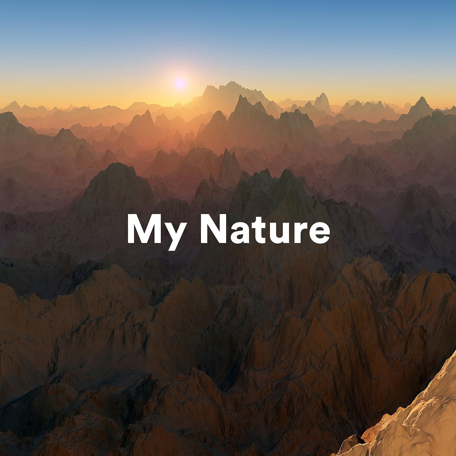 Постер альбома My Nature