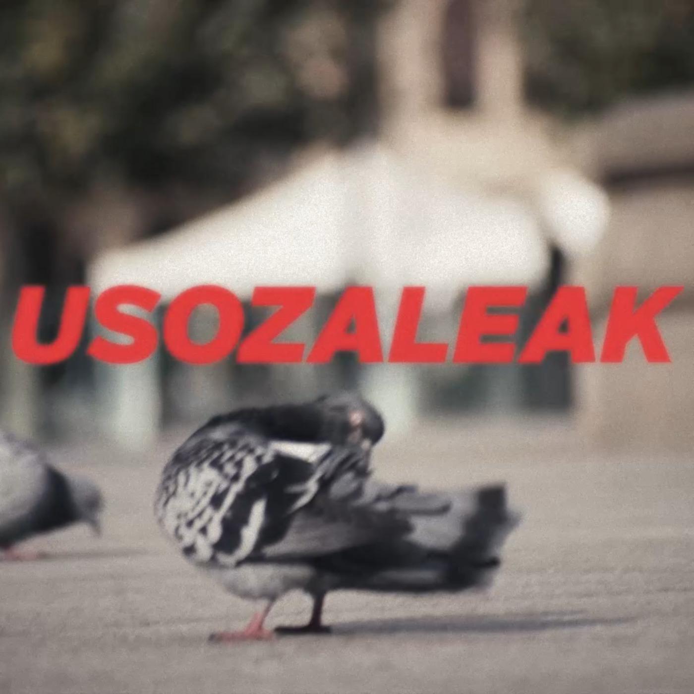 Постер альбома Usozaleak
