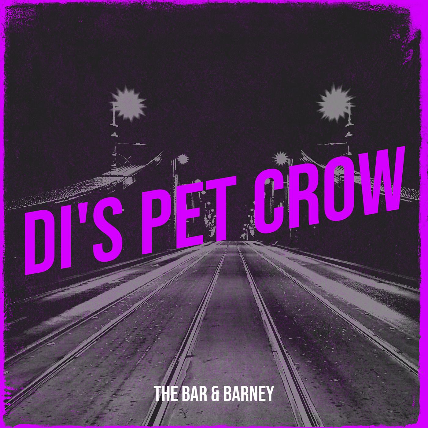 Постер альбома Di's Pet Crow