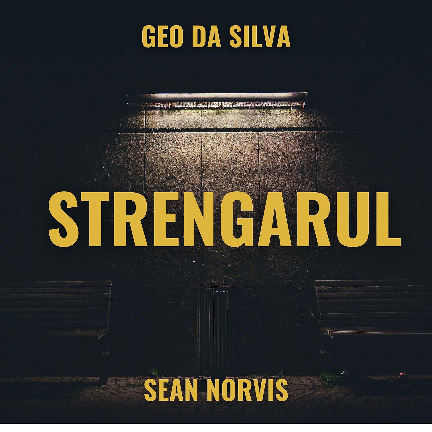 Постер альбома Strengarul