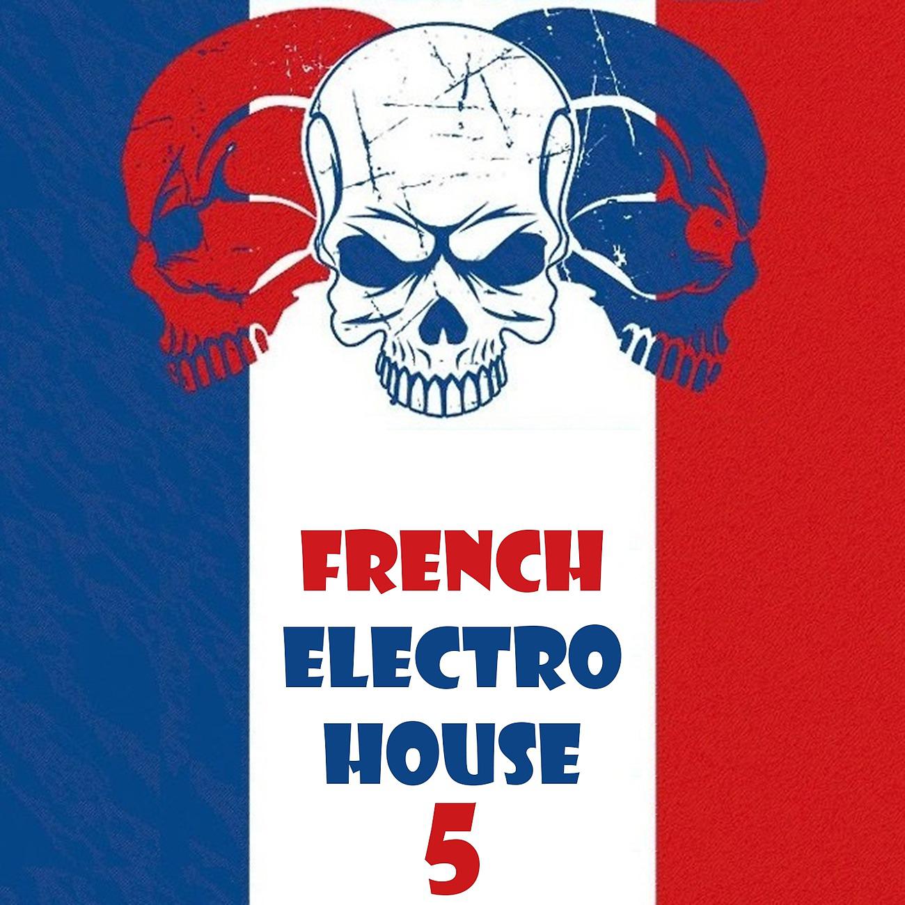 Постер альбома French Electro House, Vol. 5