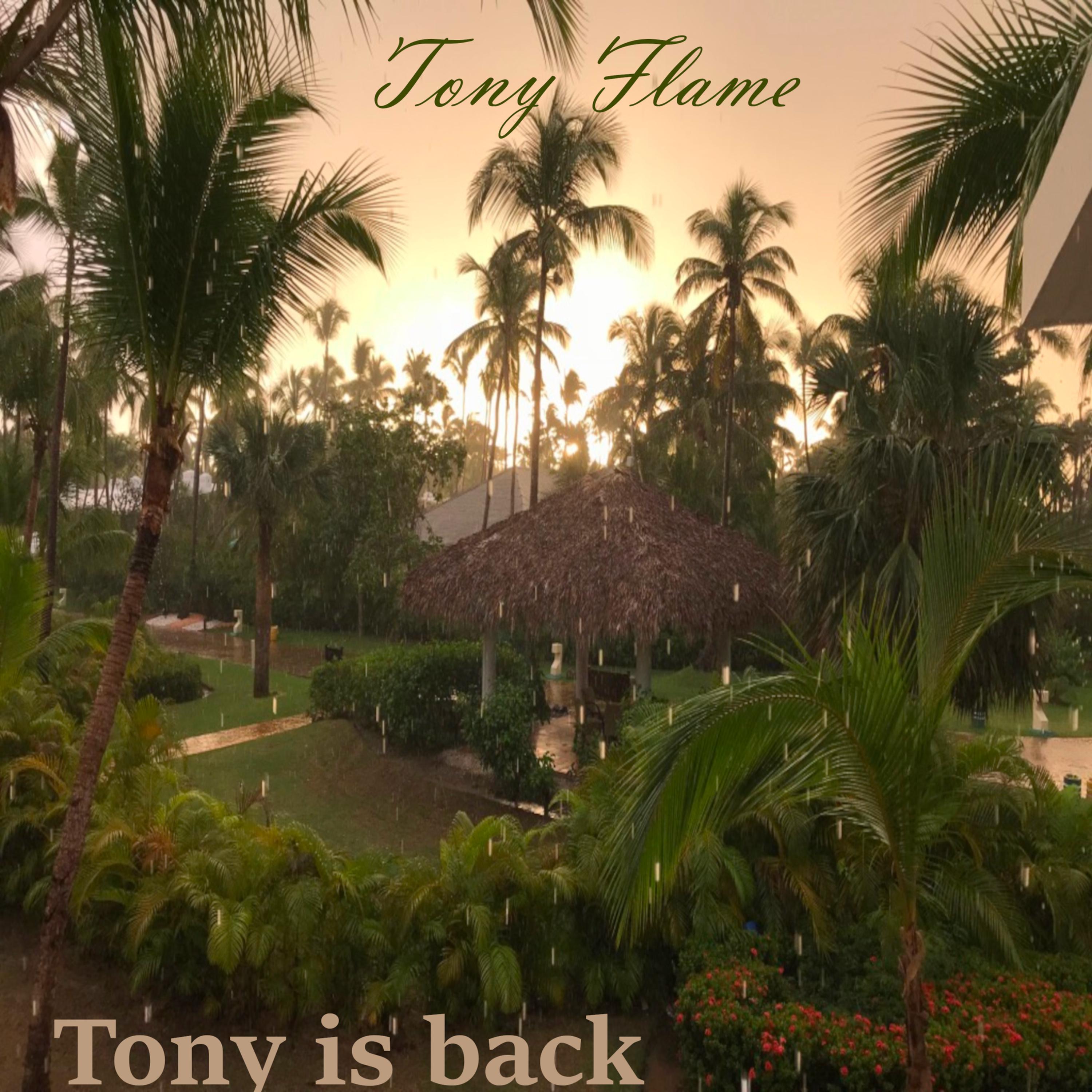 Постер альбома Tony is back