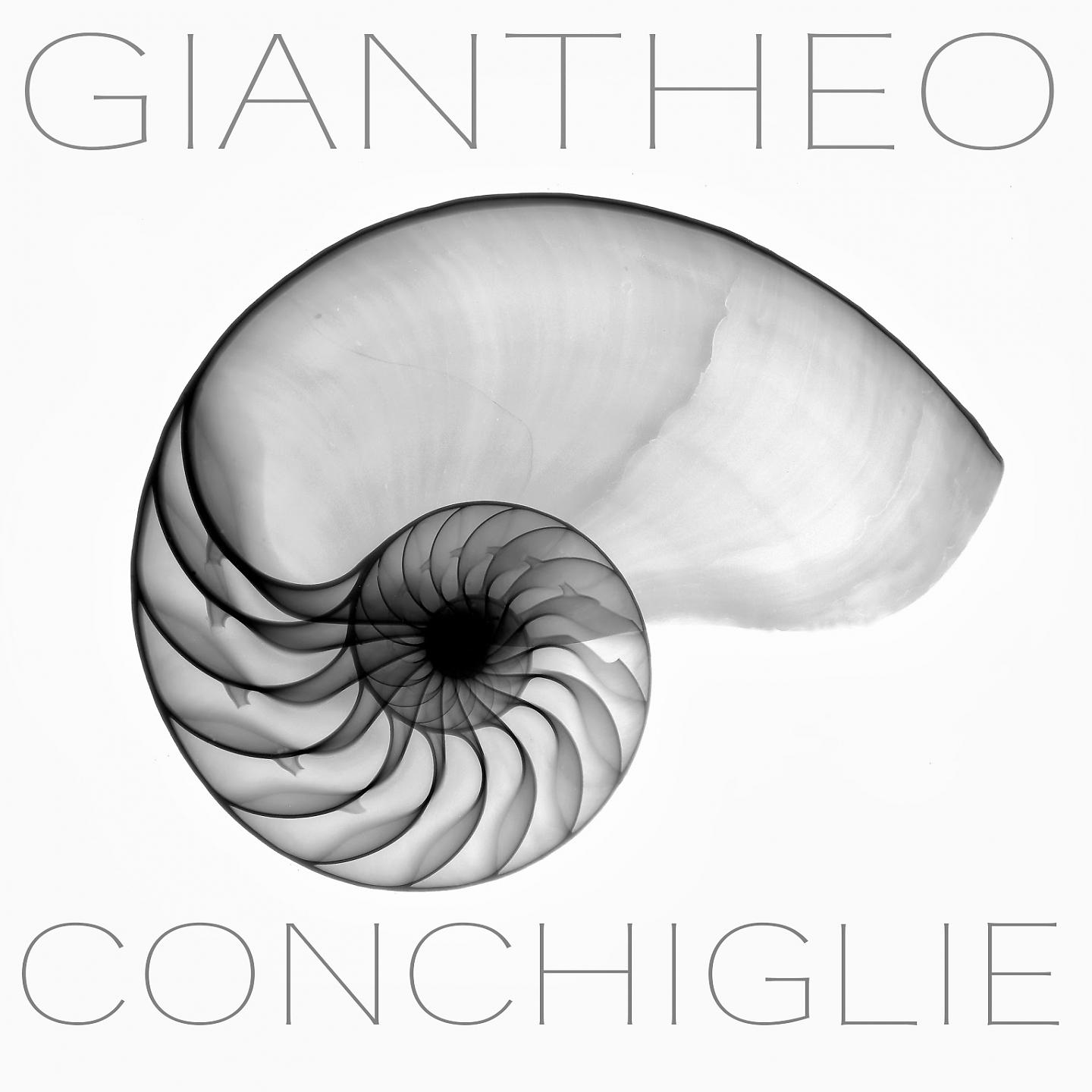 Постер альбома Conchiglie