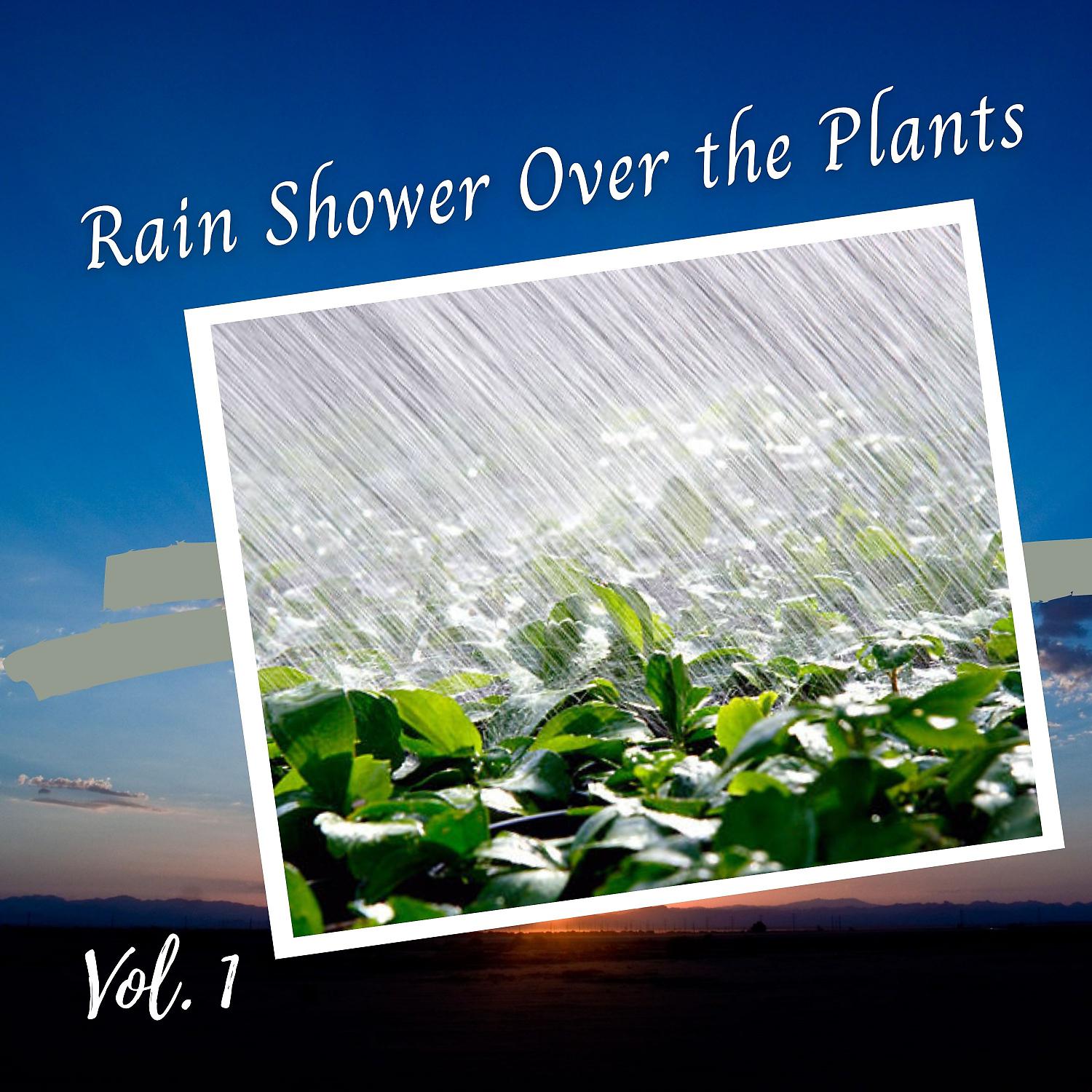 Постер альбома Rain Shower Over the Plants Vol. 1