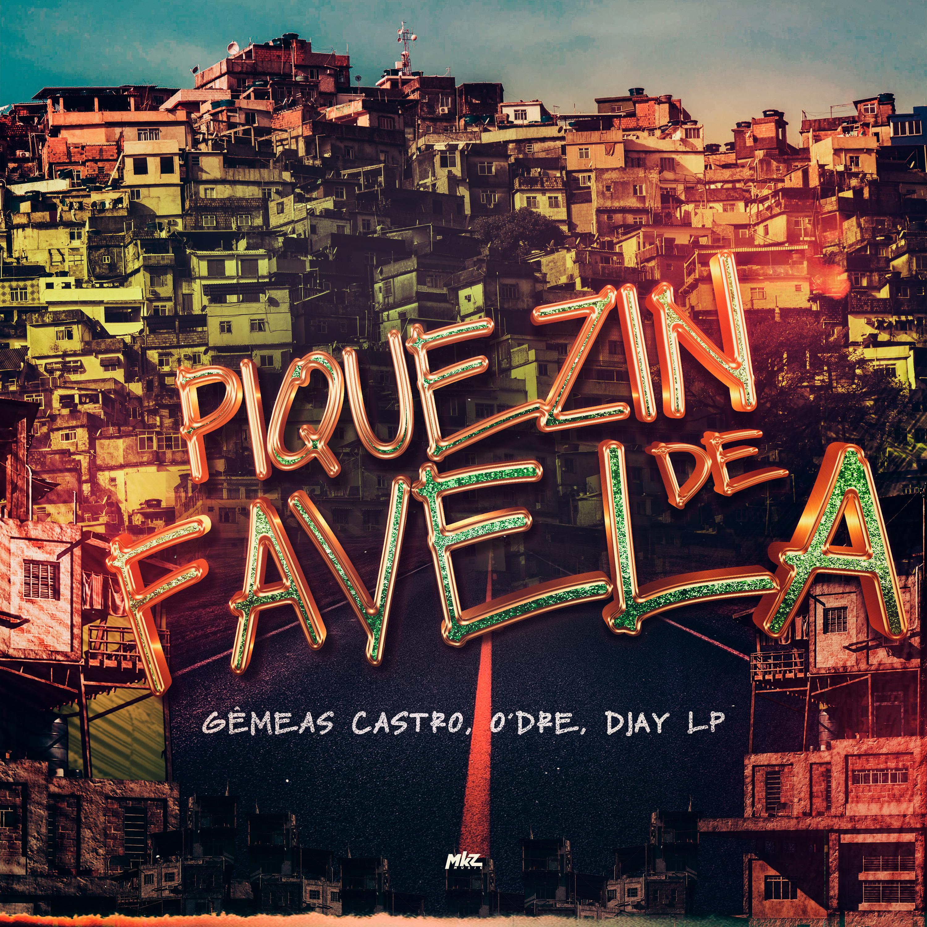 Постер альбома Piquezin de Favela
