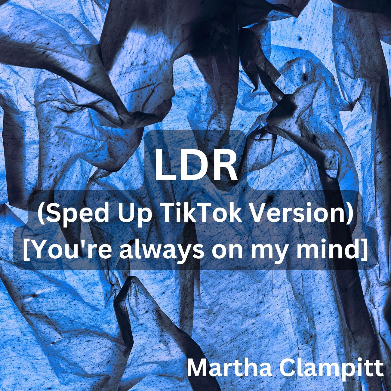 Постер альбома LDR (Sped Up TikTok Version) [You're always on my mind]
