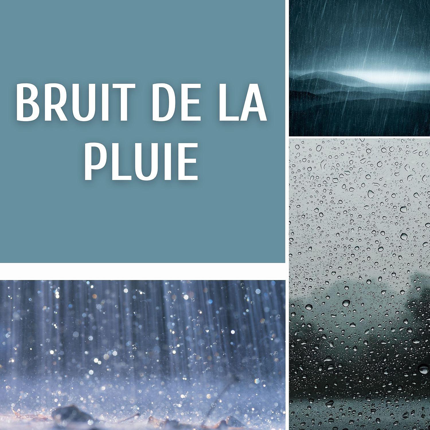Постер альбома Bruit de la pluie