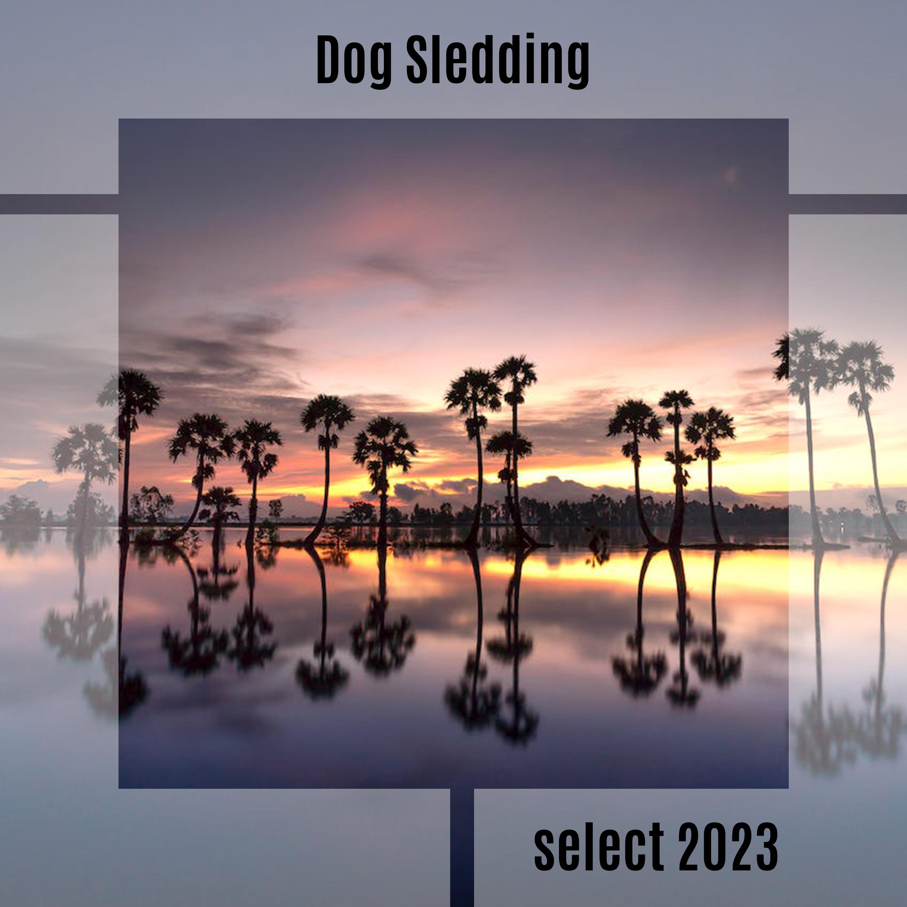 Постер альбома Dog Sledding Select 2023