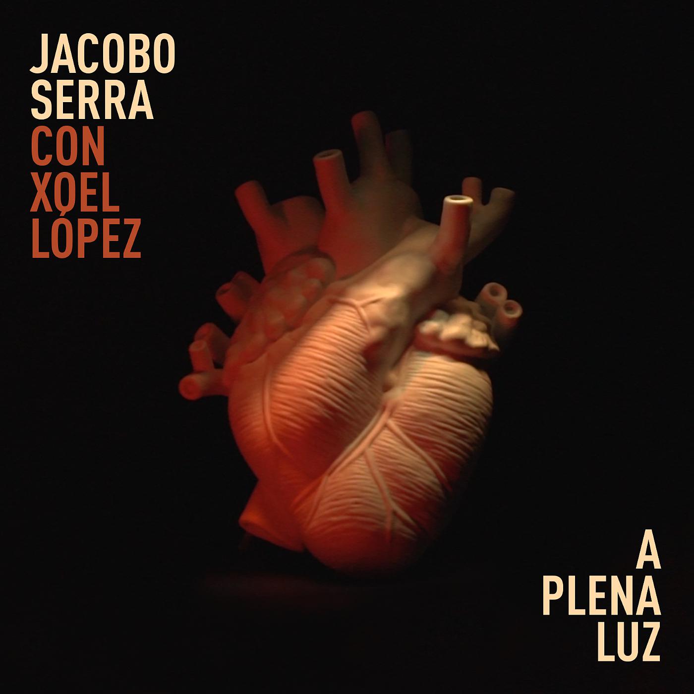 Постер альбома A plena luz (con Xoel López)