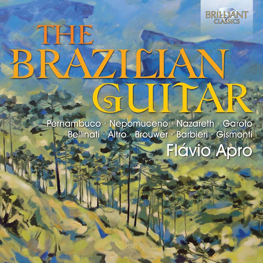 Постер альбома The Brazilian Guitar