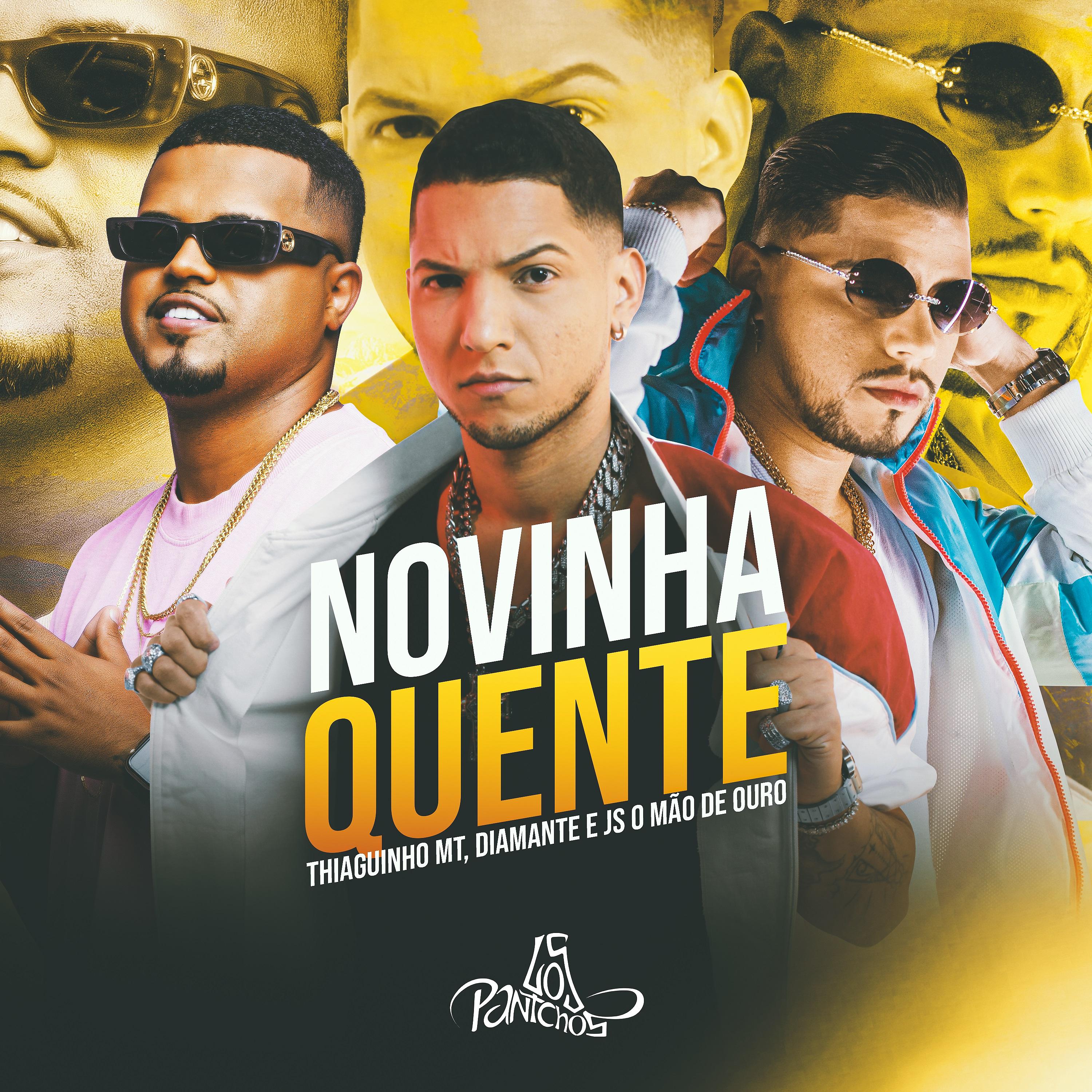 Постер альбома Novinha Quente