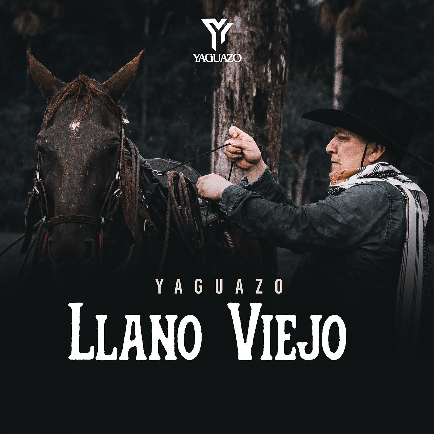 Постер альбома Llano Viejo