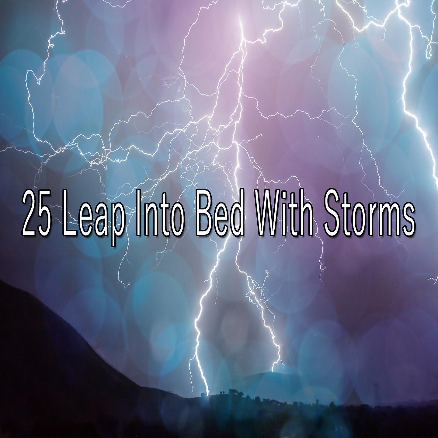 Постер альбома 25 Прыжок в постель со штормом