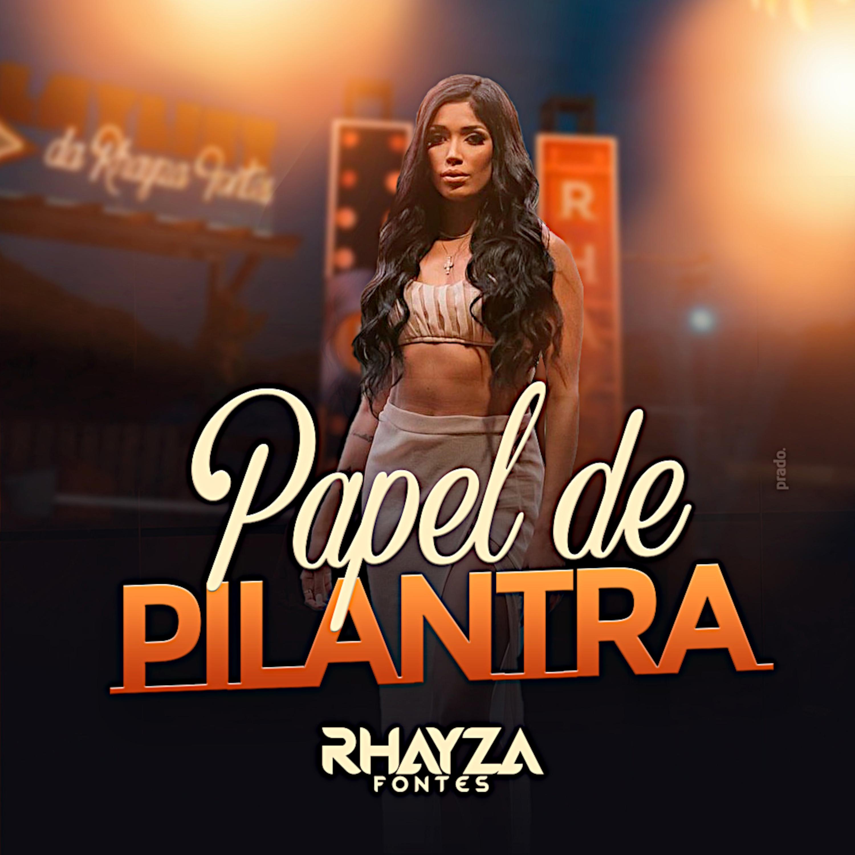 Постер альбома Papel de Pilantra