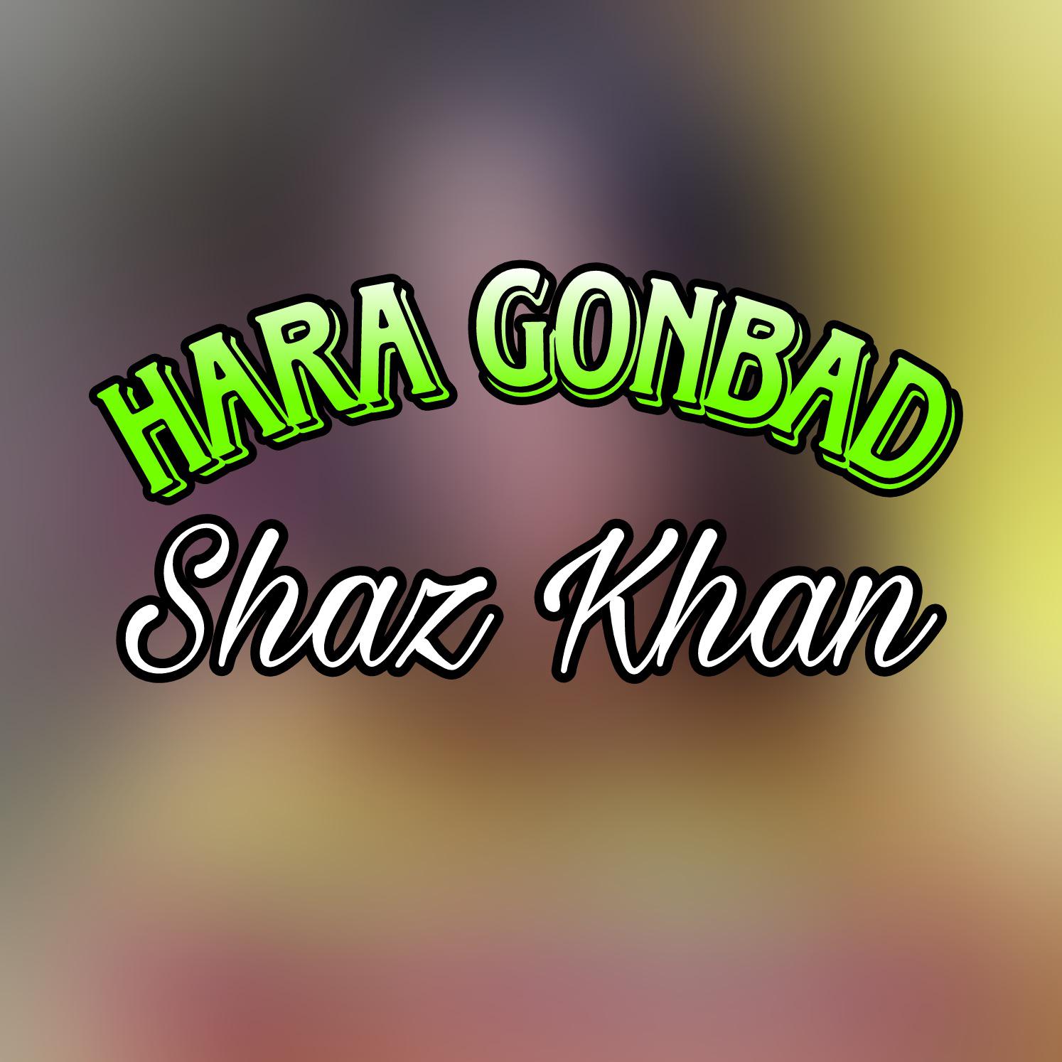 Постер альбома Hara Gonbad